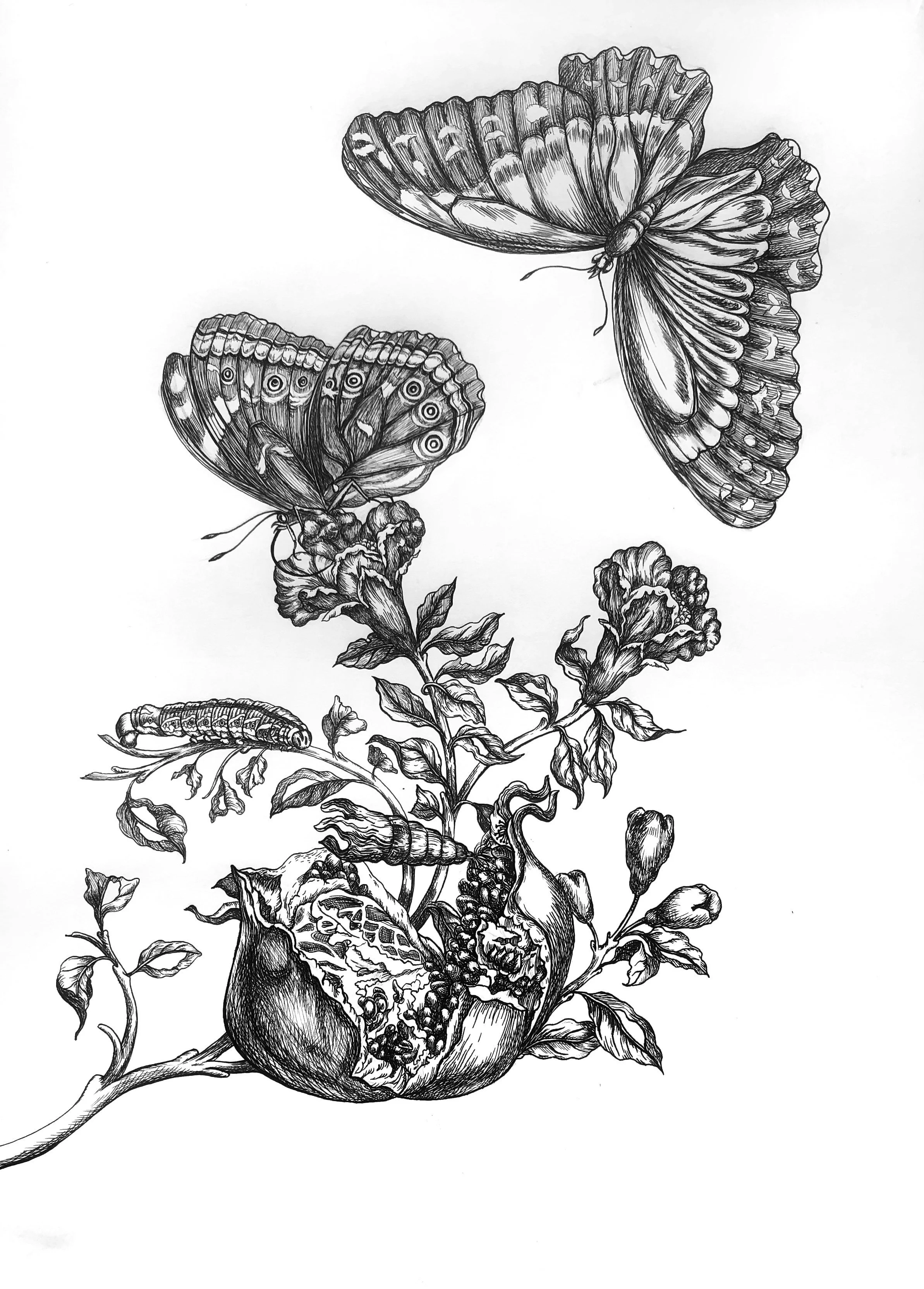 2 Book Selections for Nature Lovers: Becoming Animal &amp; The Spell of the Sensuous