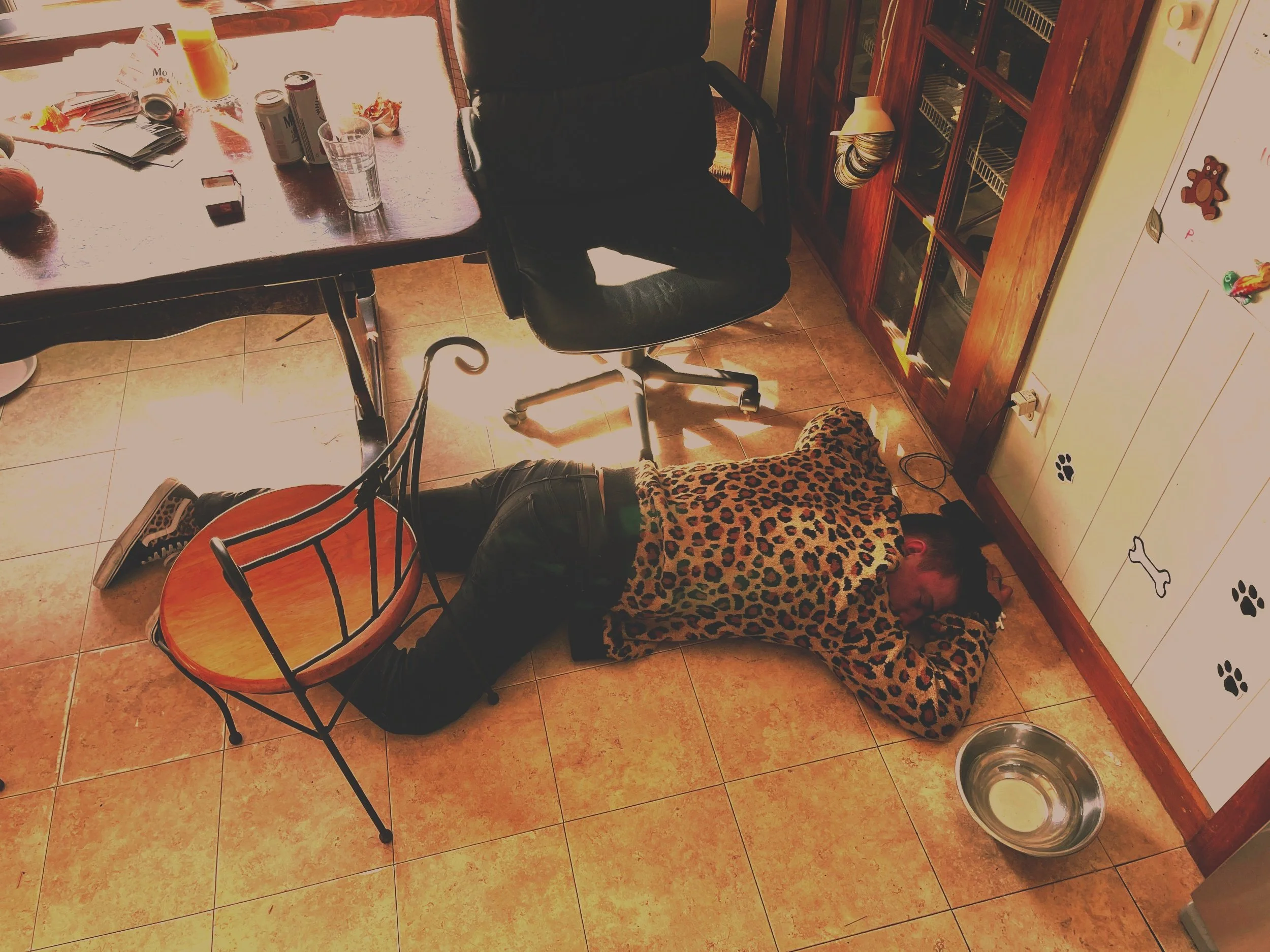 Matt_Passed_Out_Cheetah.jpg