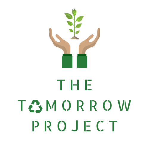 educational-videos-the-tomorrow-project