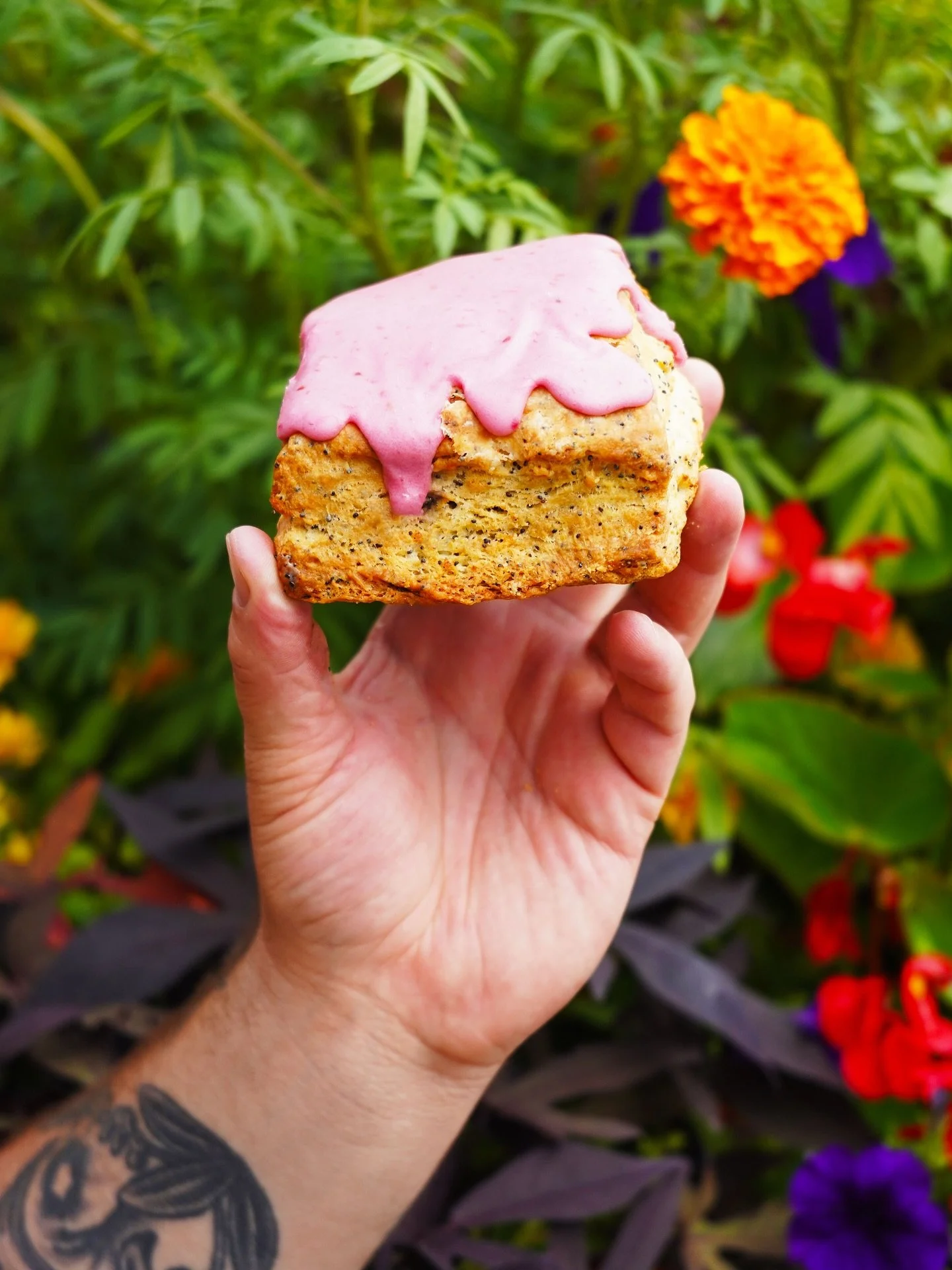 One of our all-time favorite scones- lemon poppy seed with raspberry glaze 🙌🏻🙌🏻🙌🏻
