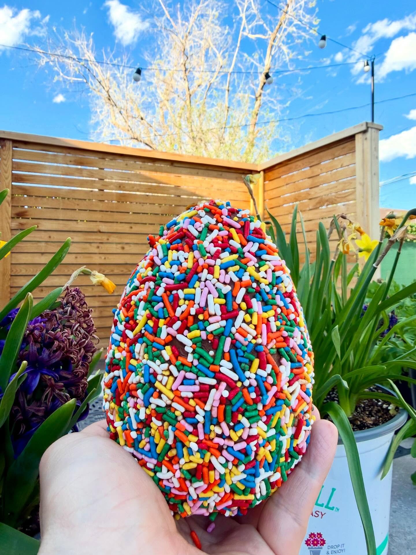 Easter Egg special 🐣
One pound of chocolate with a brigadeiro-inspired condensed milk chocolate caramel center. Available starting today through the weekend! Limited supply!!