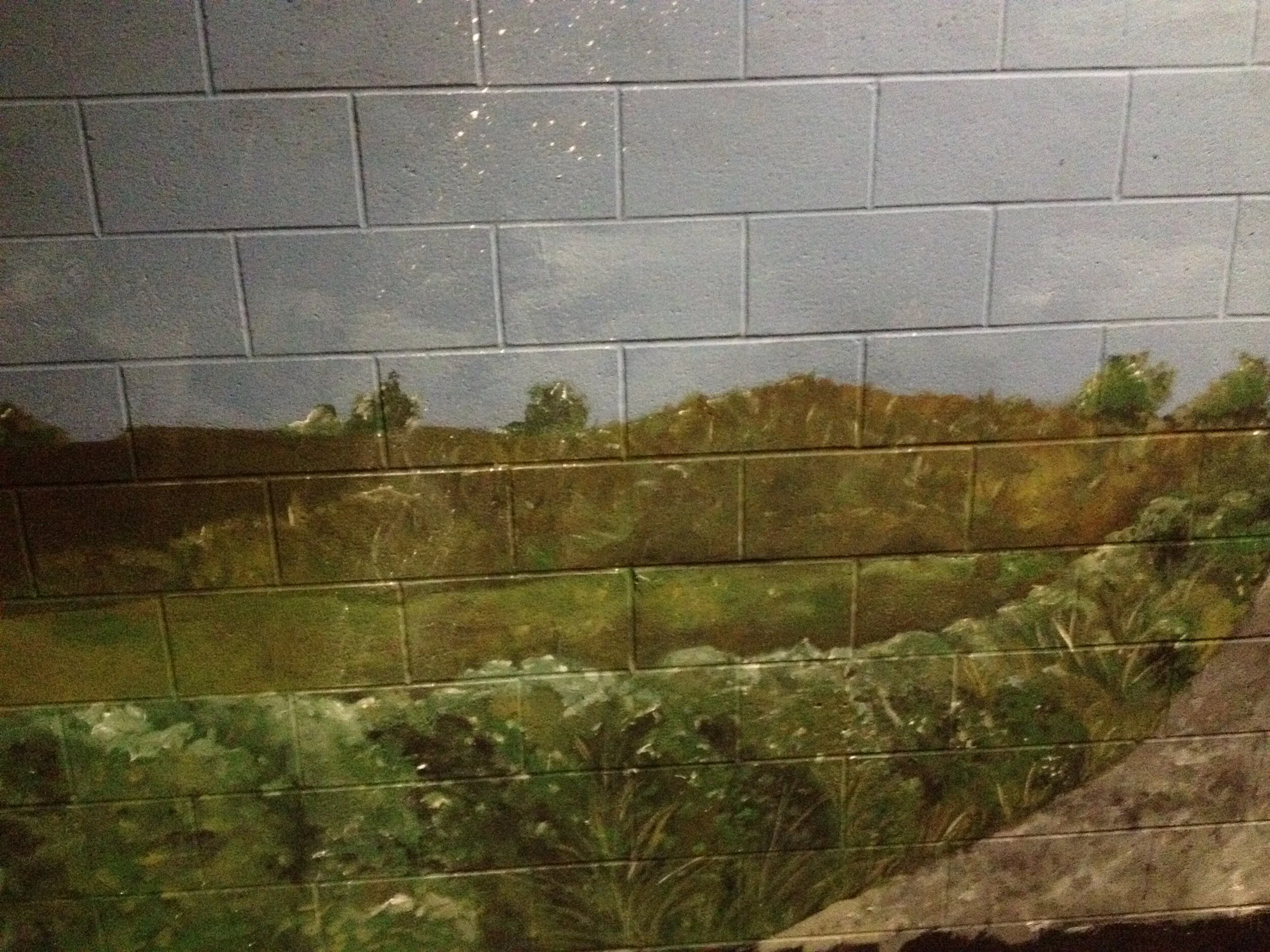  Mural outside Front Door 