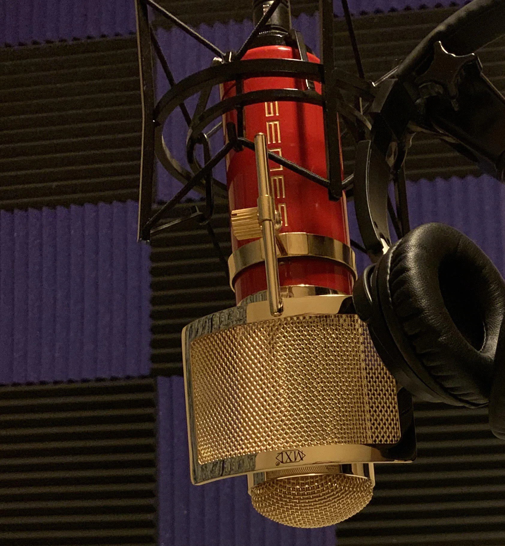 studio_mic_closeup.jpg