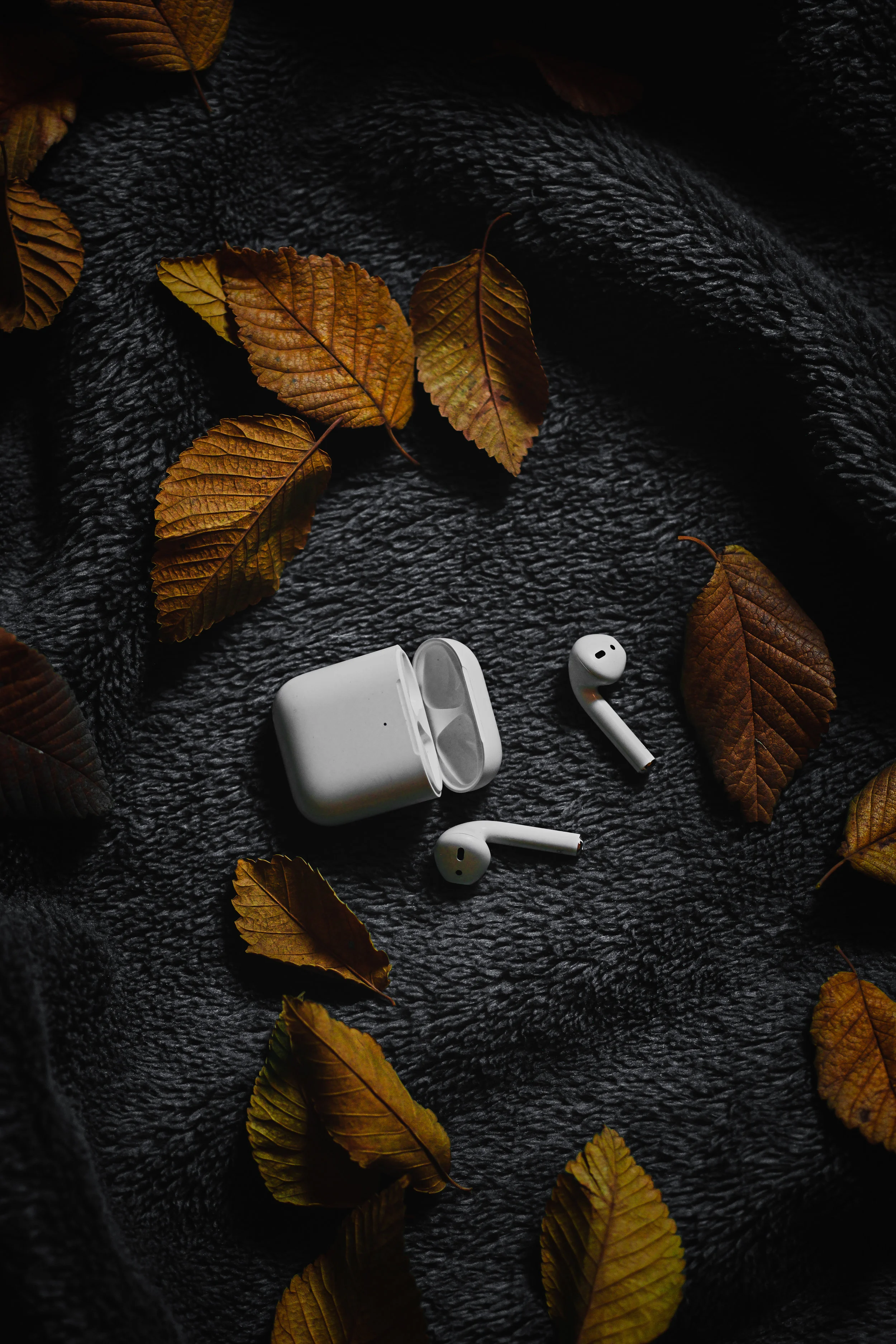 Planted and Enchanted: Vol. 1 - February '20