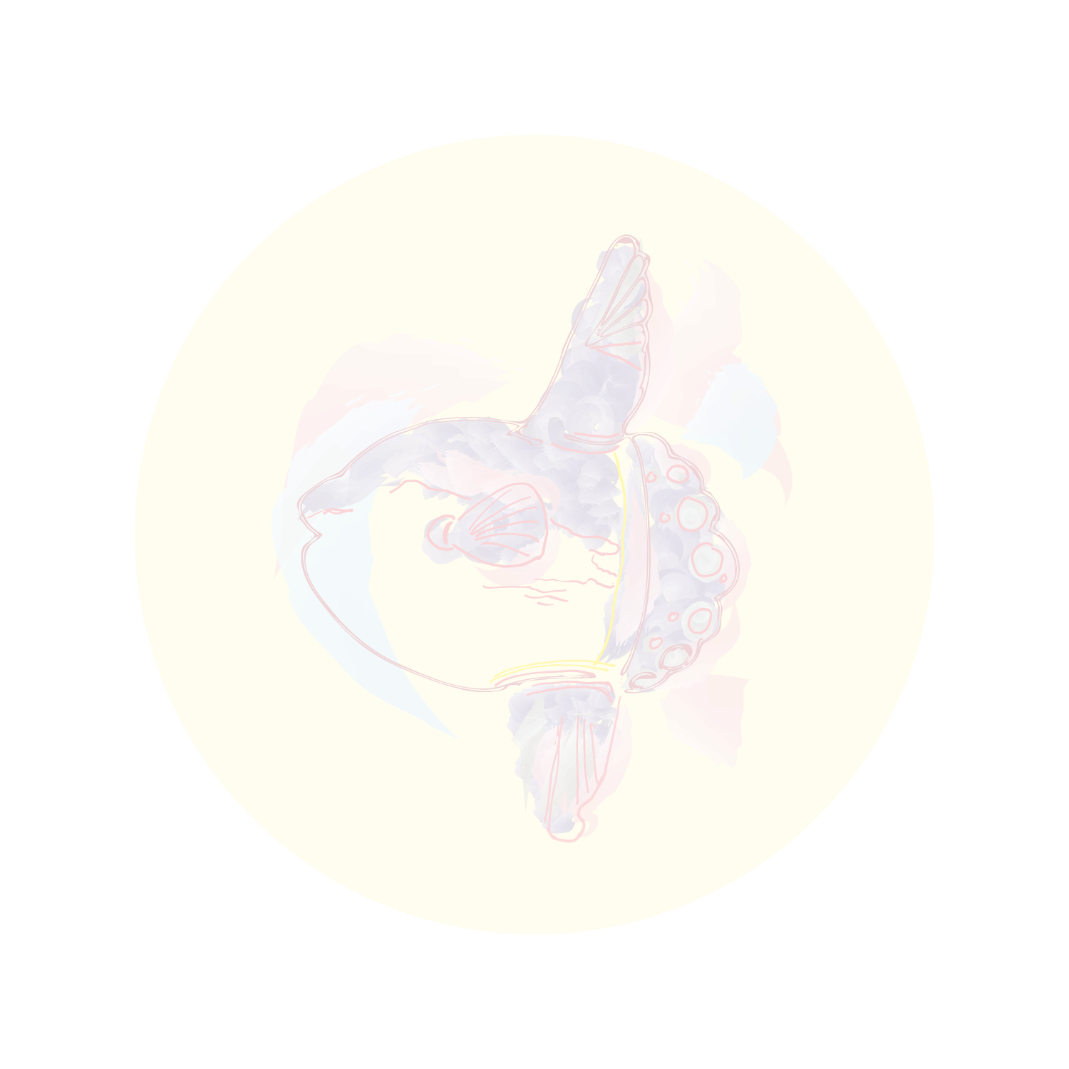 fishy-01.png