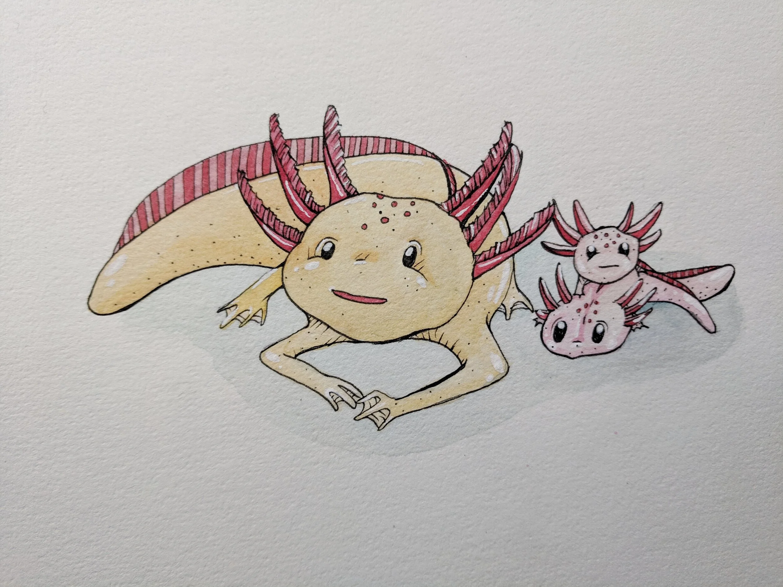 axolotls.jpeg