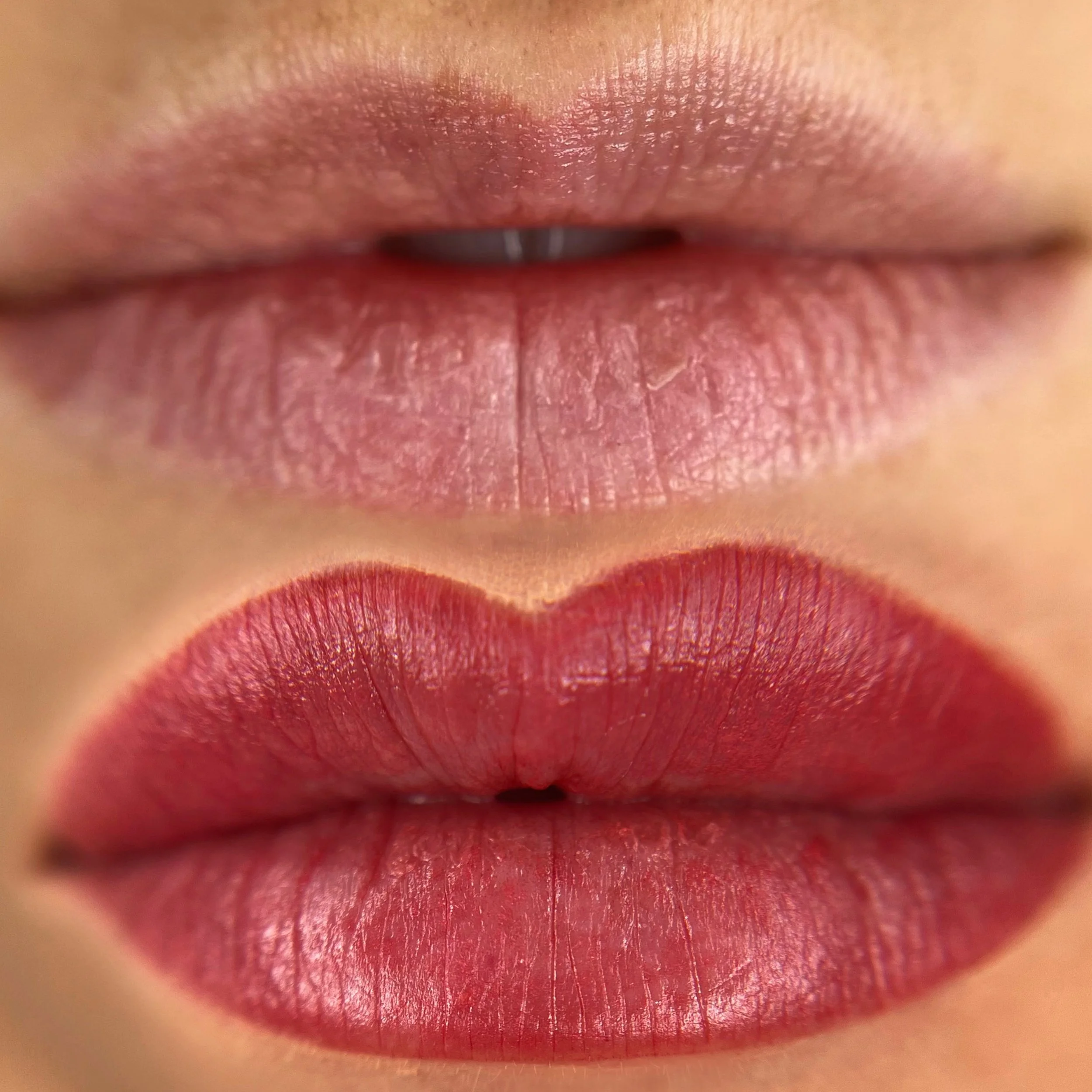 lip blush — elma healing + esthetics chicago
