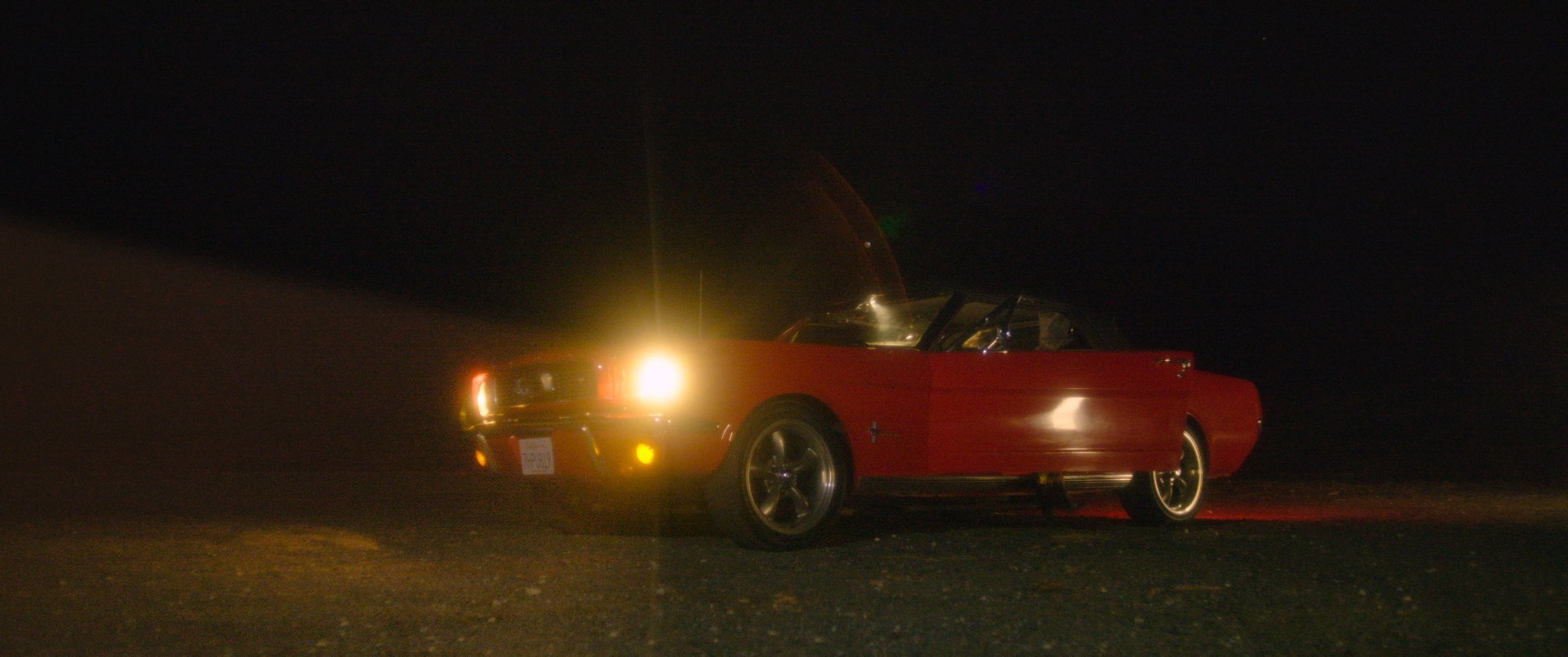 pedazode_carnight.jpg