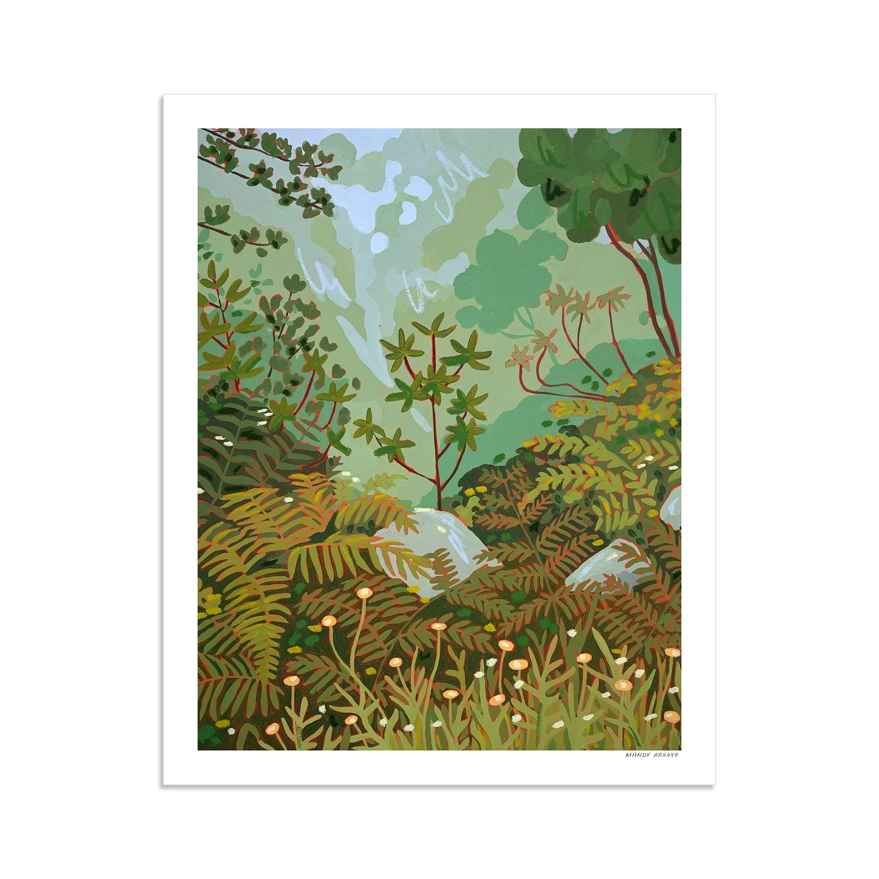 laurel forest 2.jpg