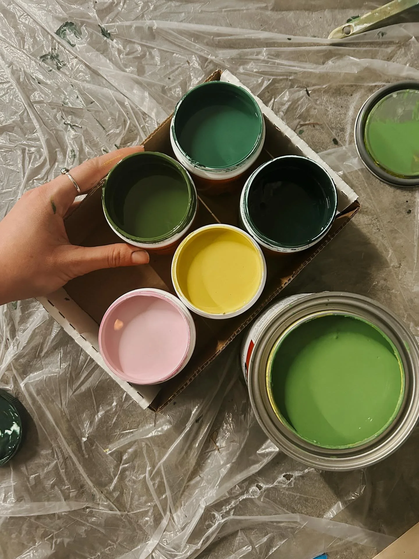 a lil fern wall process dump~
1. yummy colors
2. view from the top of the wall
3. my cute little assistant helping me reach the top! (a mini mast lift)
4. my husband&rsquo;s ergonomic genius saving my wrist with custom paintbrush grips!!