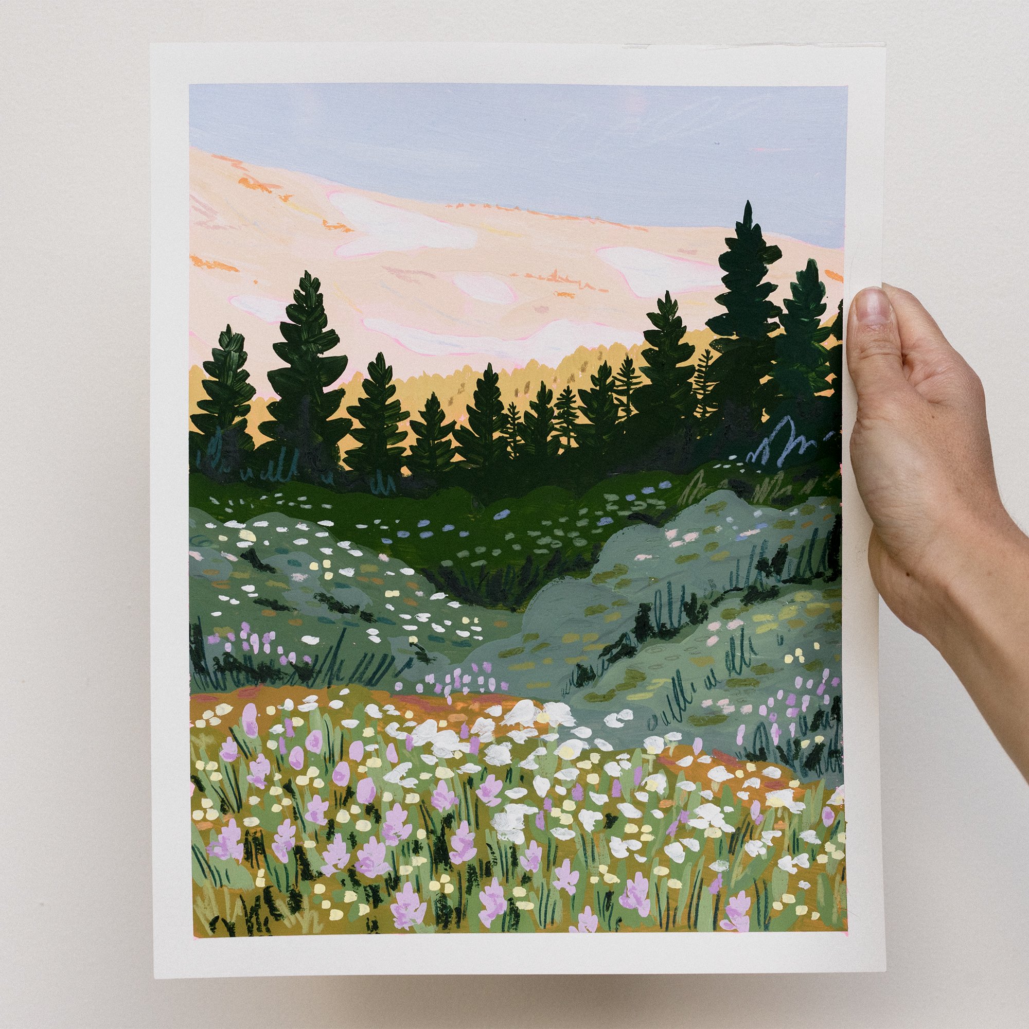 blooming elk meadow.jpg