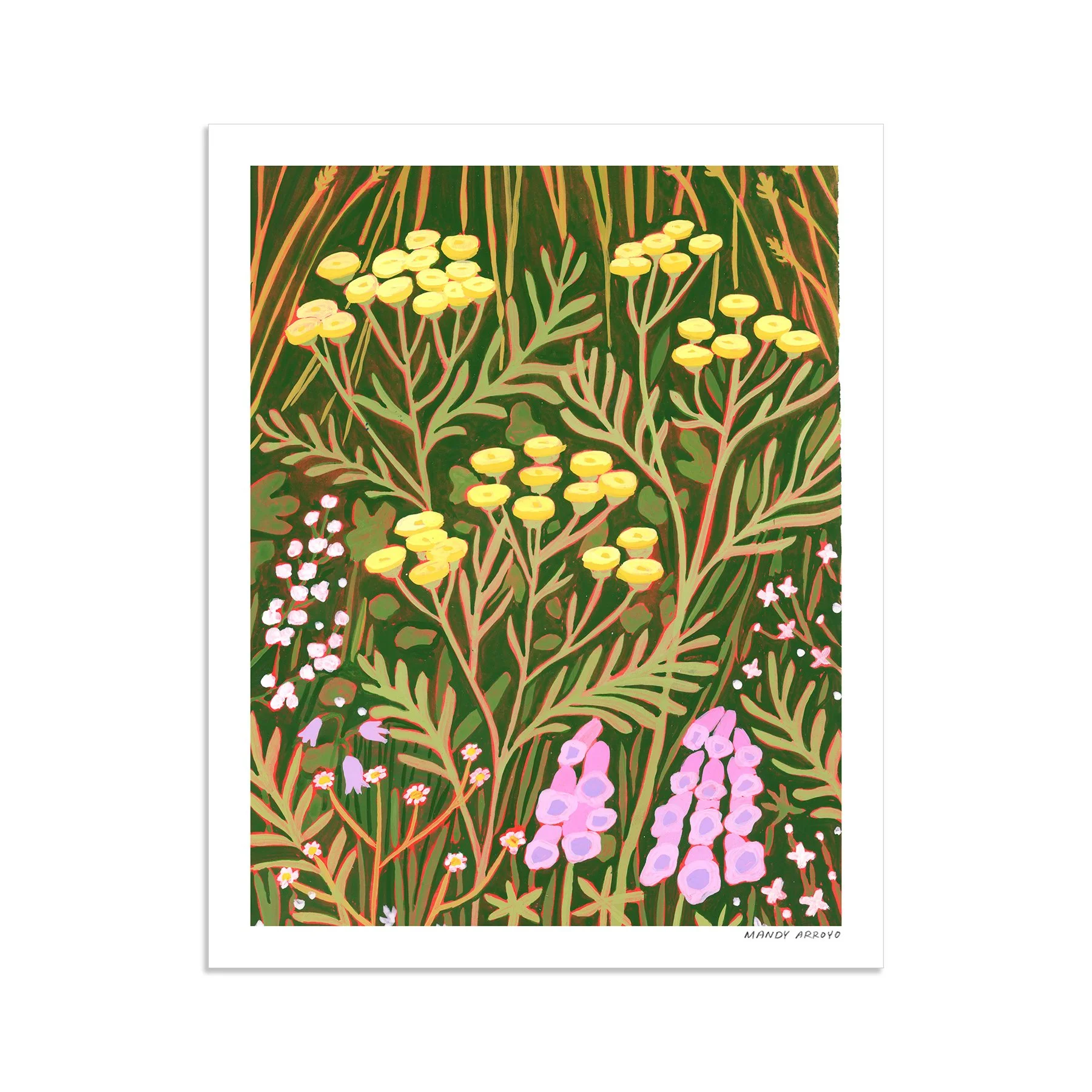Tansy 1.jpg