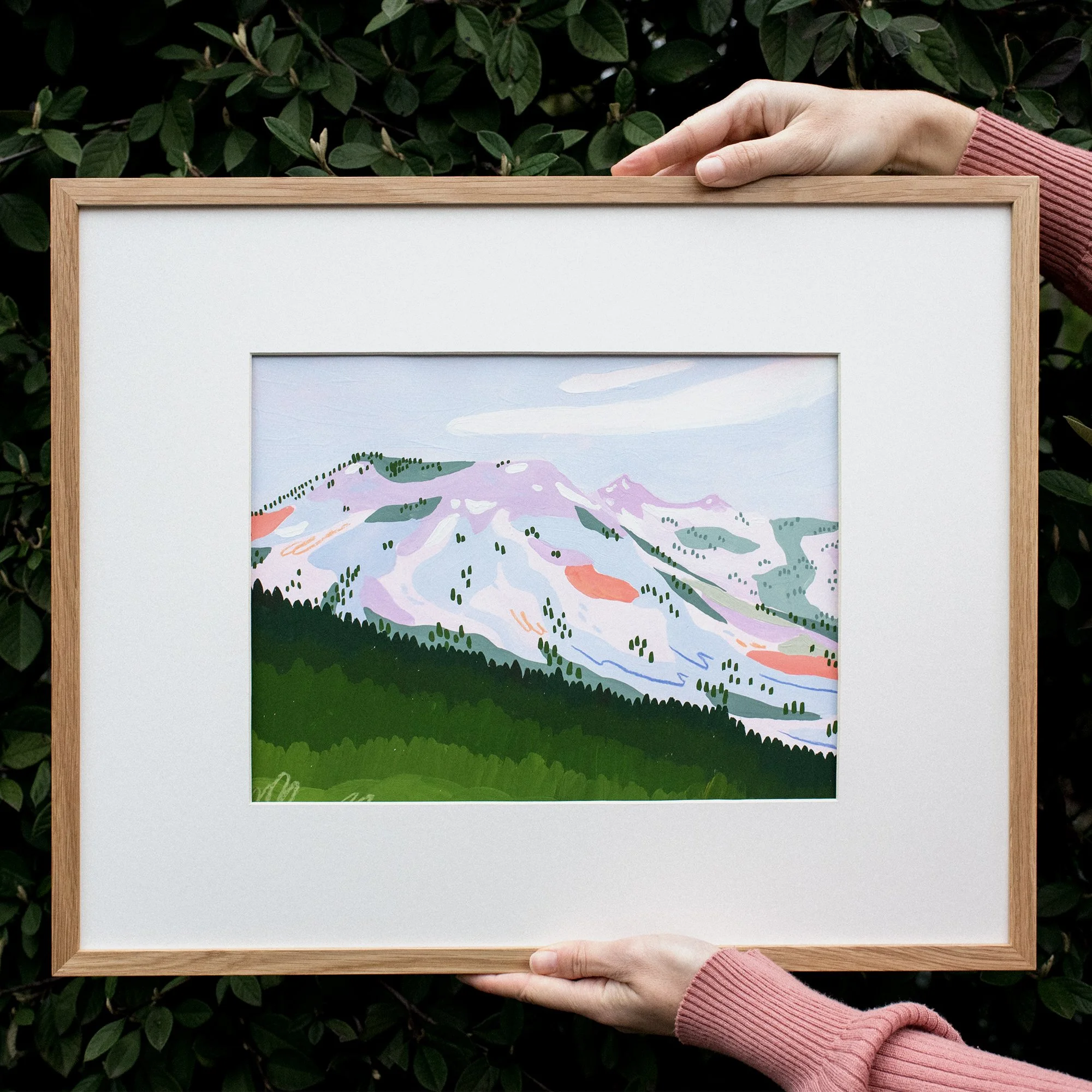 Aneroid Mountain 3.jpg