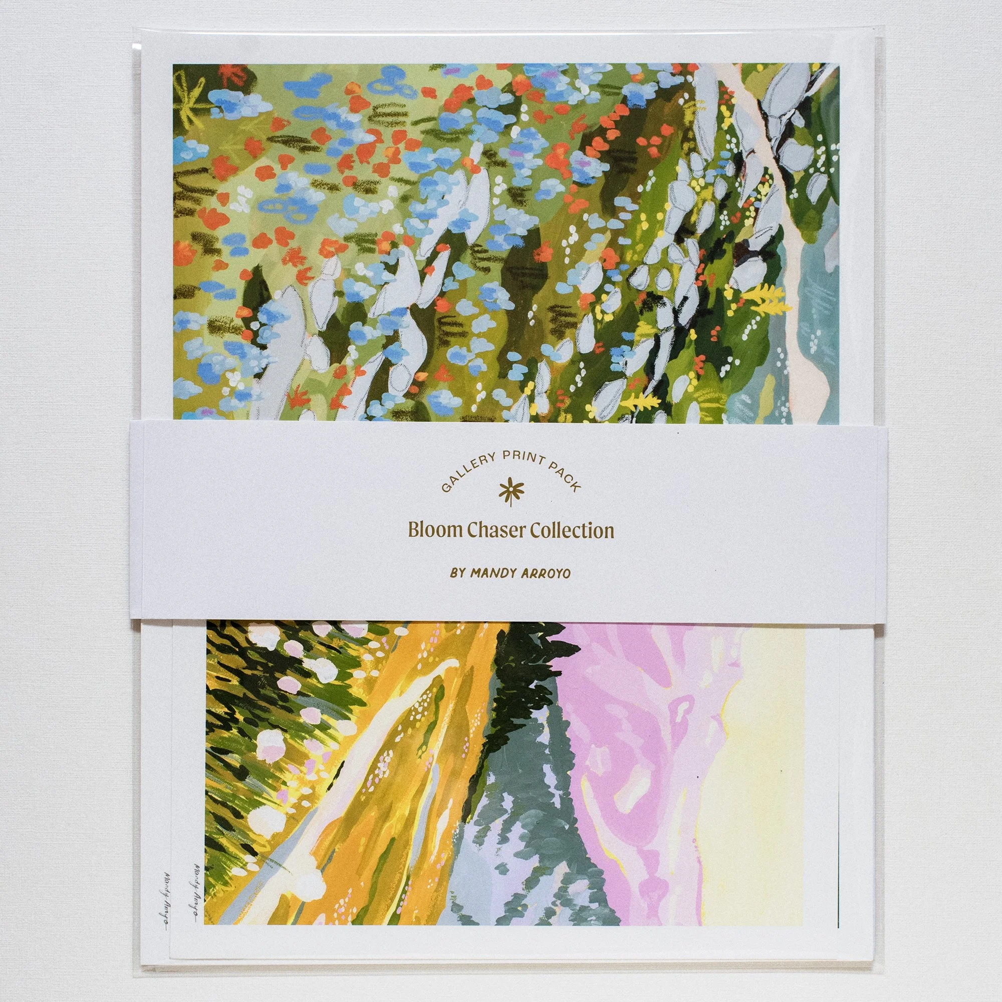 bloom chaser gift pack 1.jpg