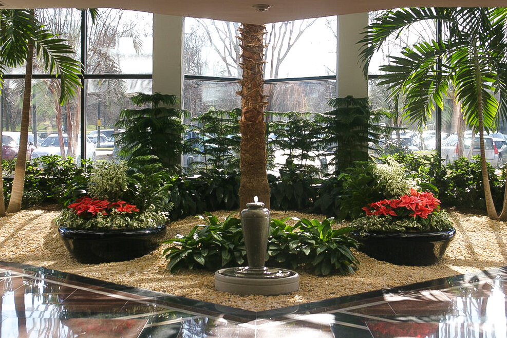 Interior Landscaping Creating a Positive Impact in the Workplace with – The  Balcony Garden