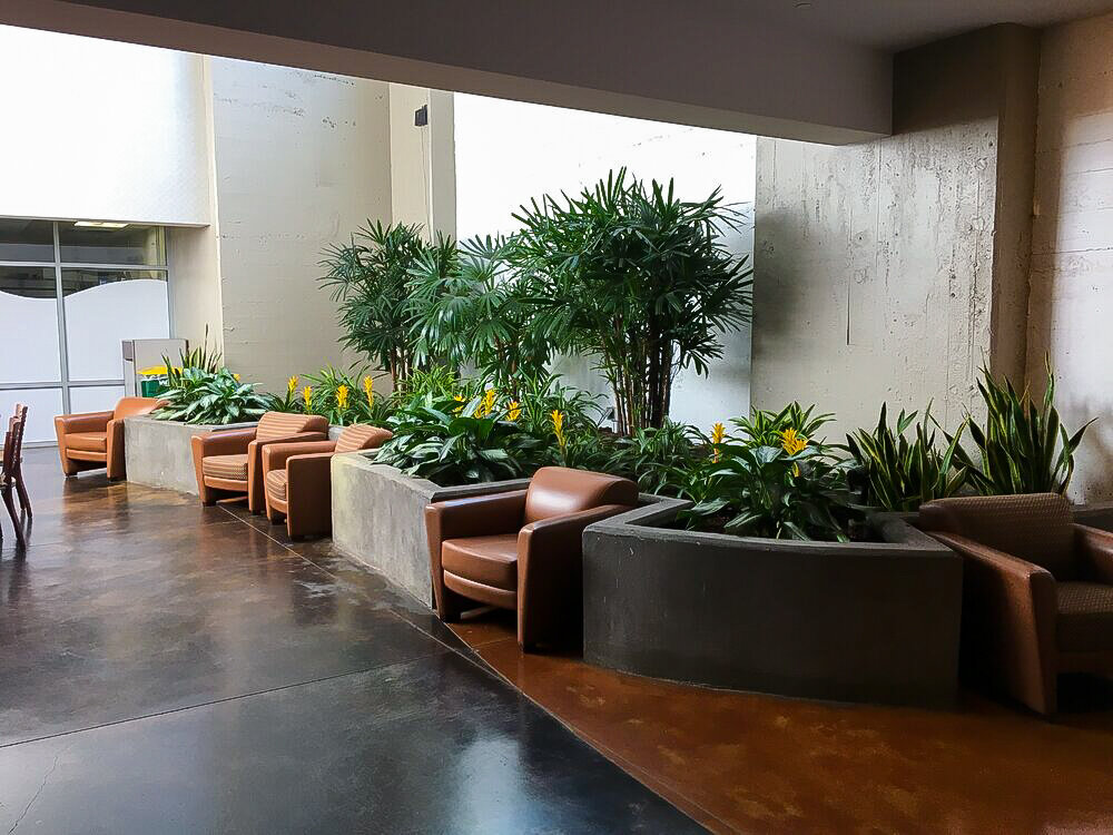 Greatscapes Interior Atrium Plant Design