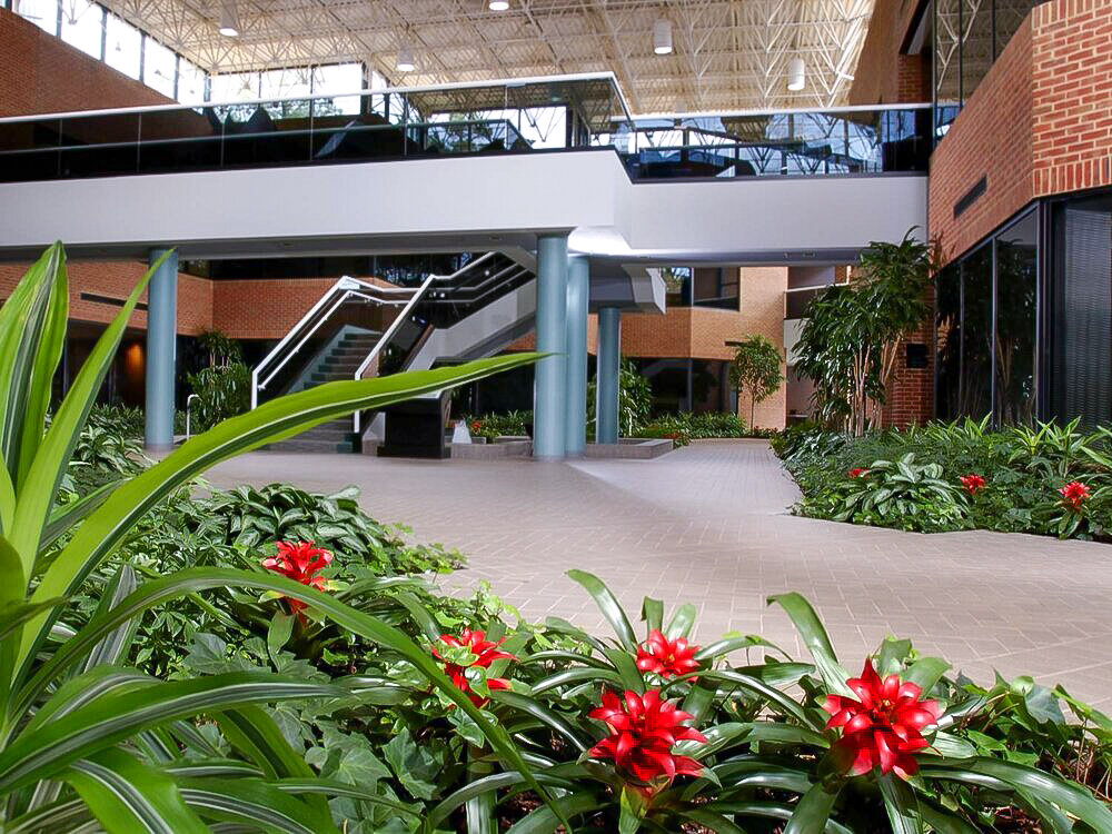 Greatscapes Interior Plant Design Mall
