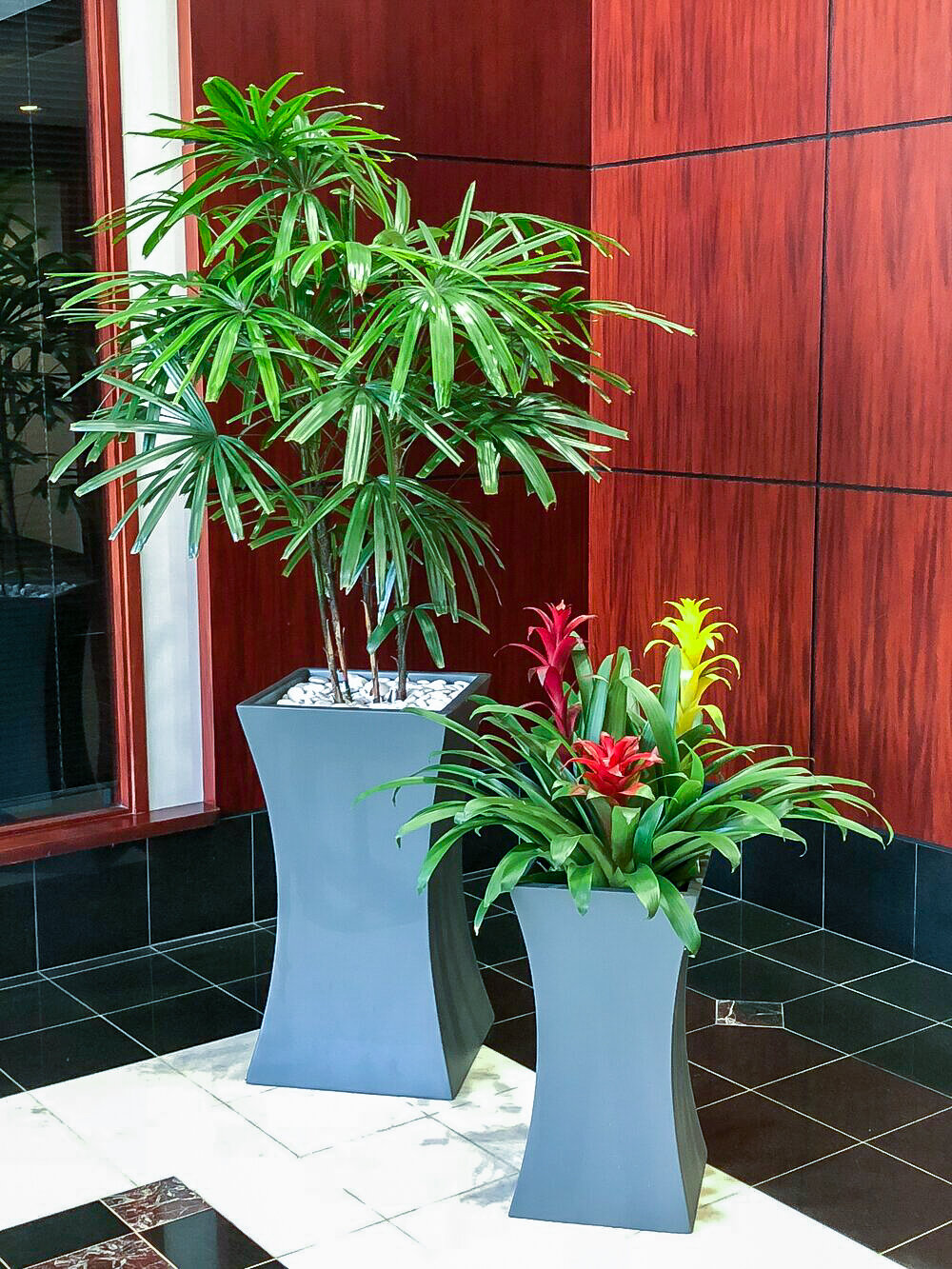 Greatscapes Interior Exotic Lobby Plants