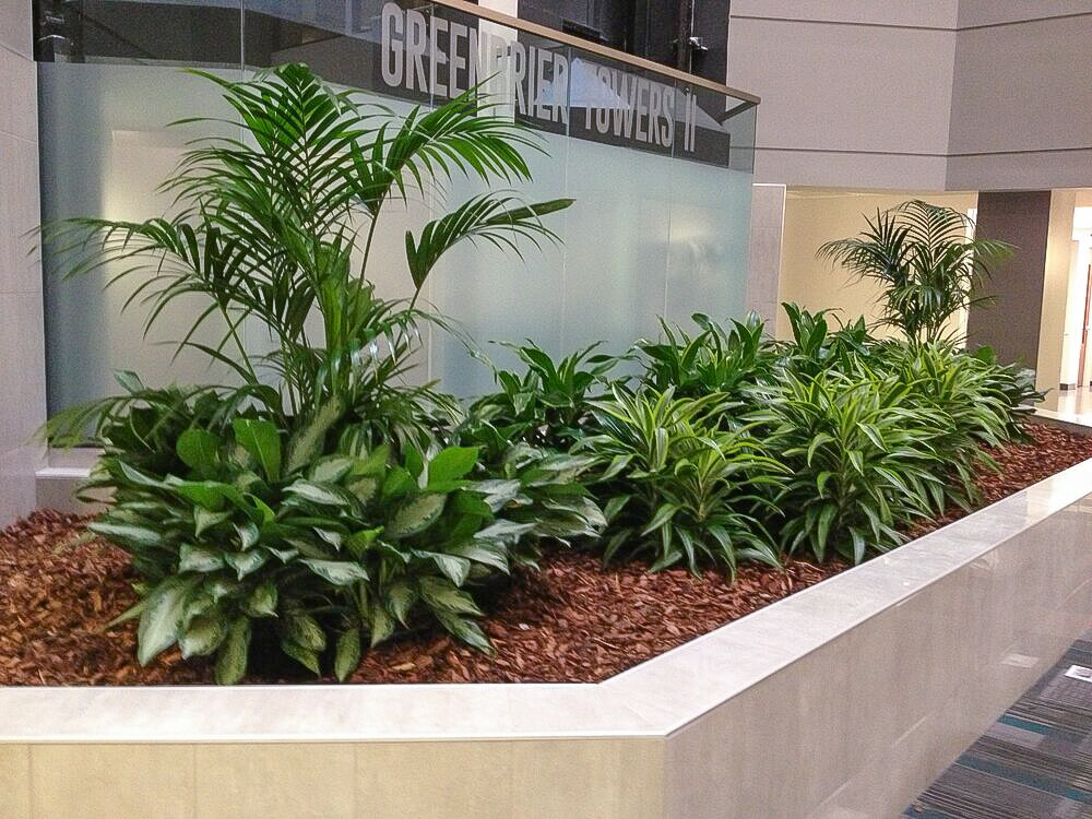 Greatscapes Interior Plantscape Layout