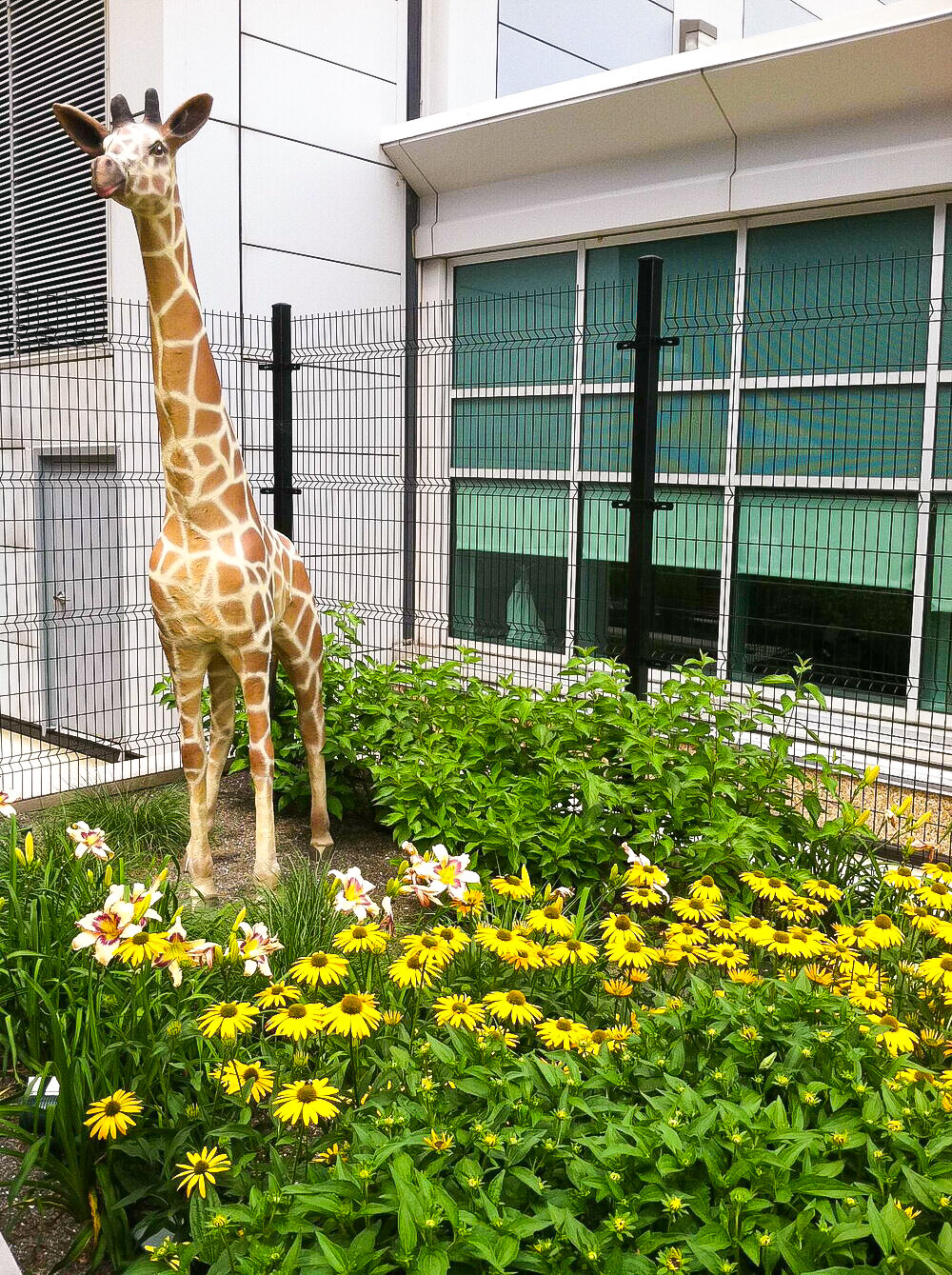 VCU-Health-Childrens-Healing-Garden-giraffe.jpg