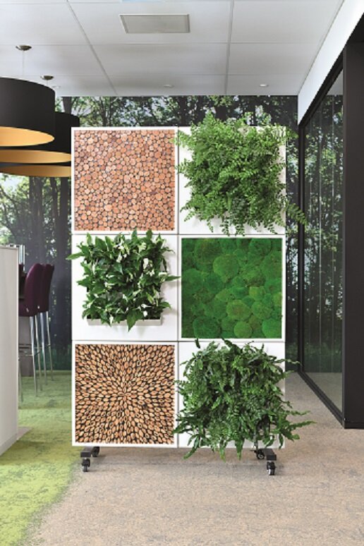 BioMontage LIVE roomdivider 1a.jpg