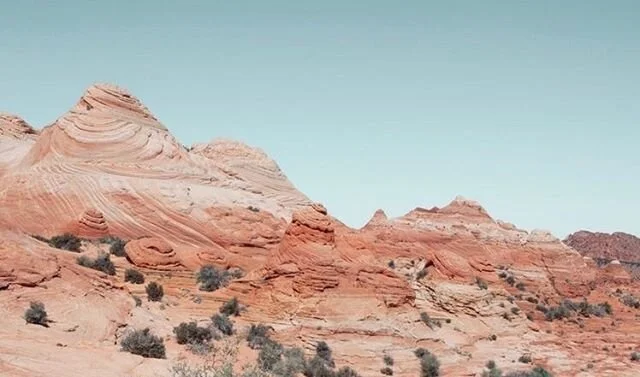 GOOD🐚MORNING || another busy day at the bungalow 🗝 &bull; I will be posting more new availability tonight for you babes to join us &bull; see you on the coast 🧘🏼