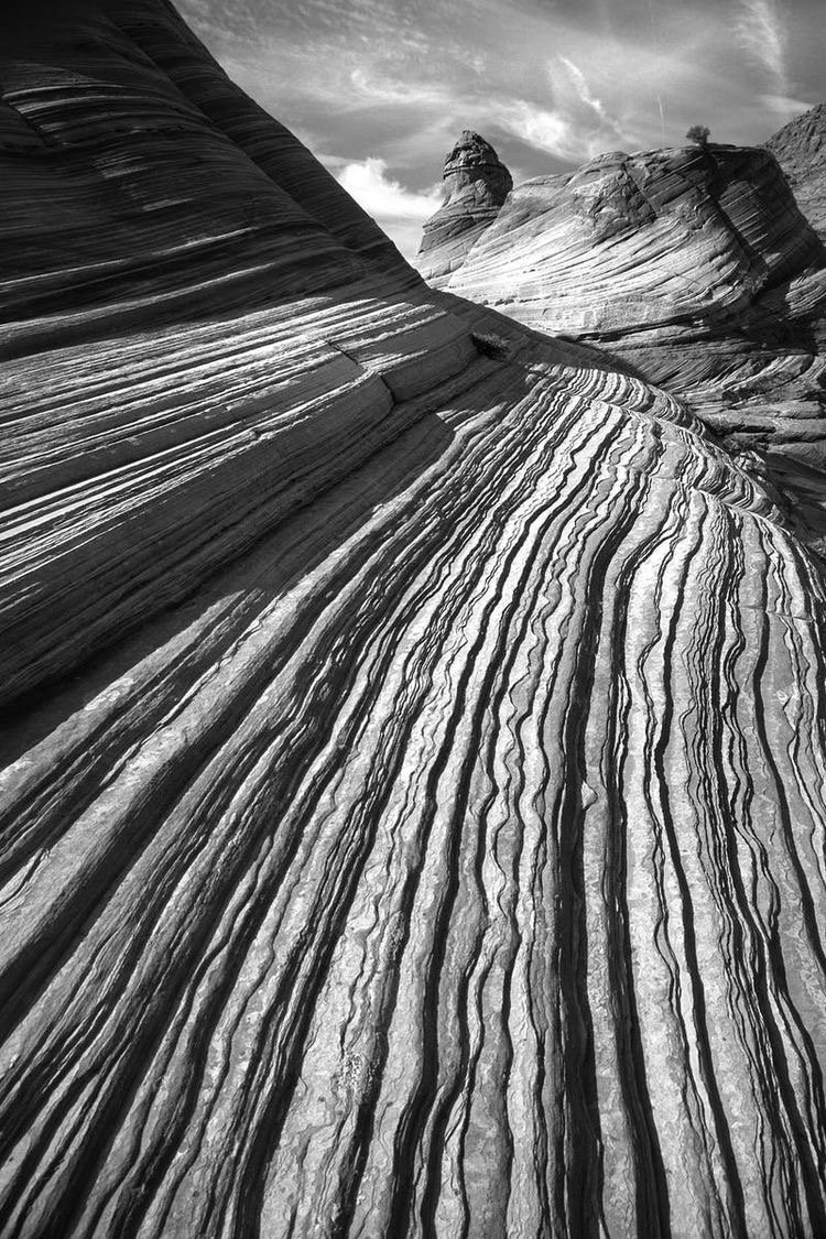 WINTER HAIR REMEDIES - DAY 5: FLAT HAIR