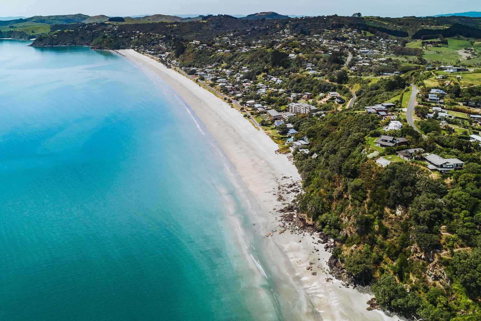 i-2wbmkTd-X3 Pete Rees.jpg