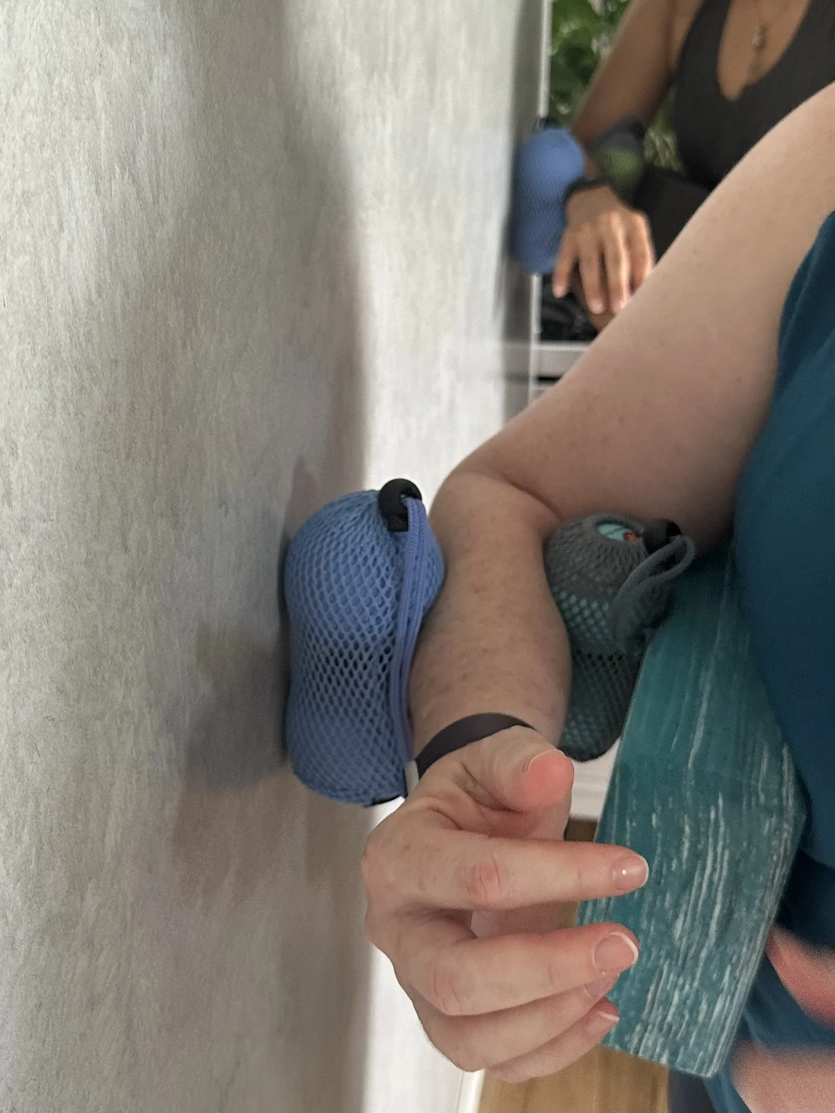 forearm roll out.jpg