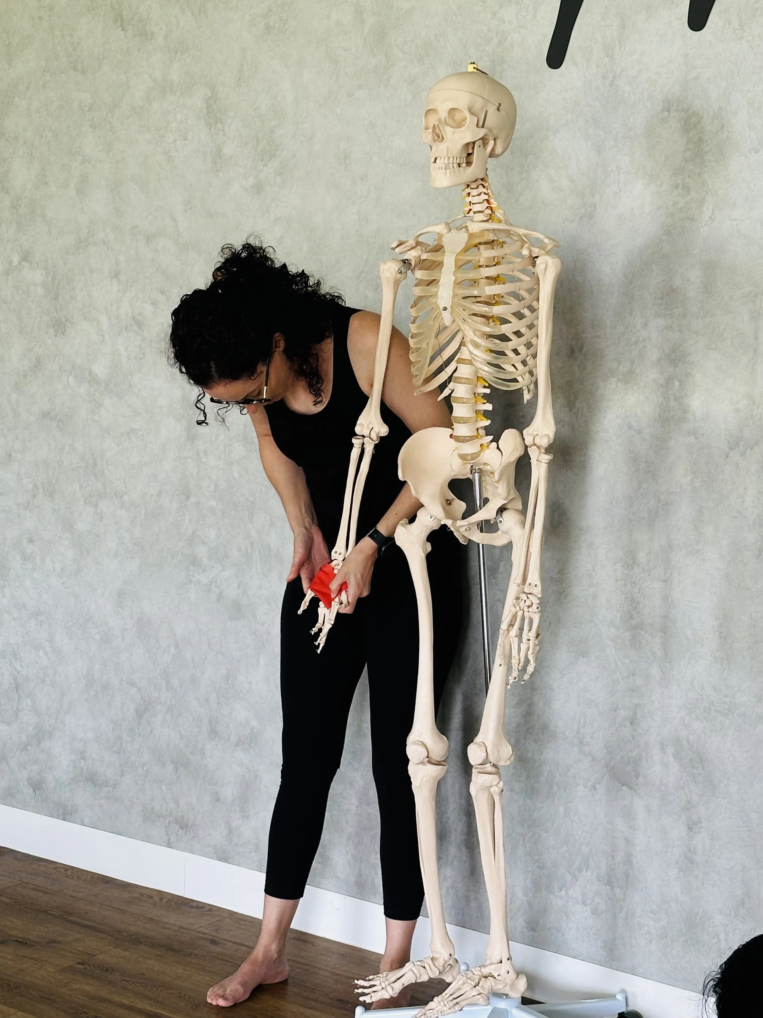 thenar anatomy.jpg