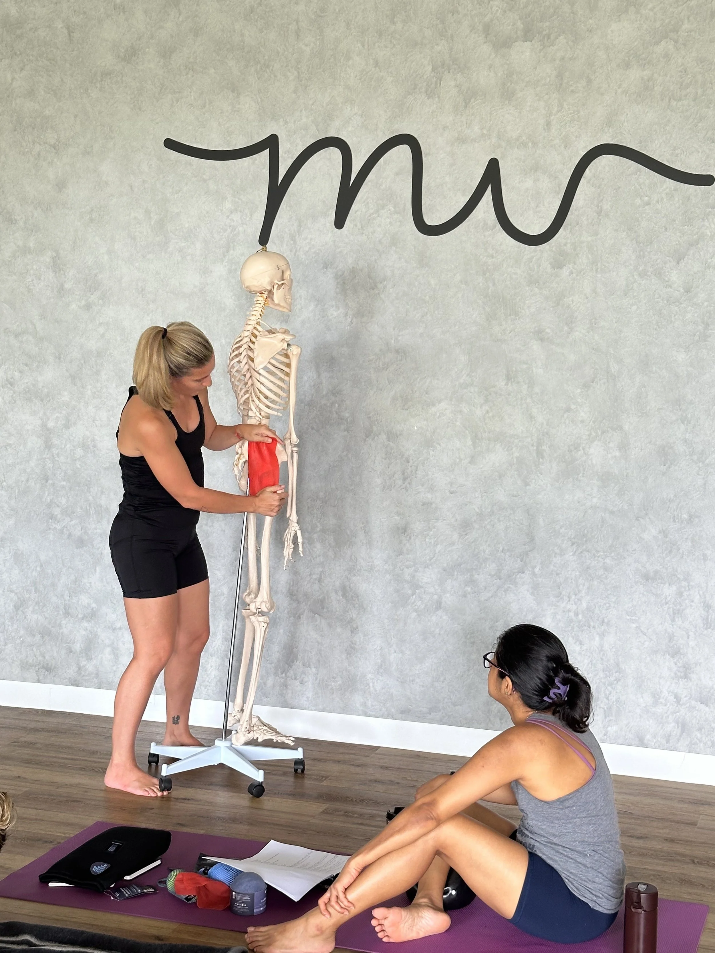 glute anatomy.jpg