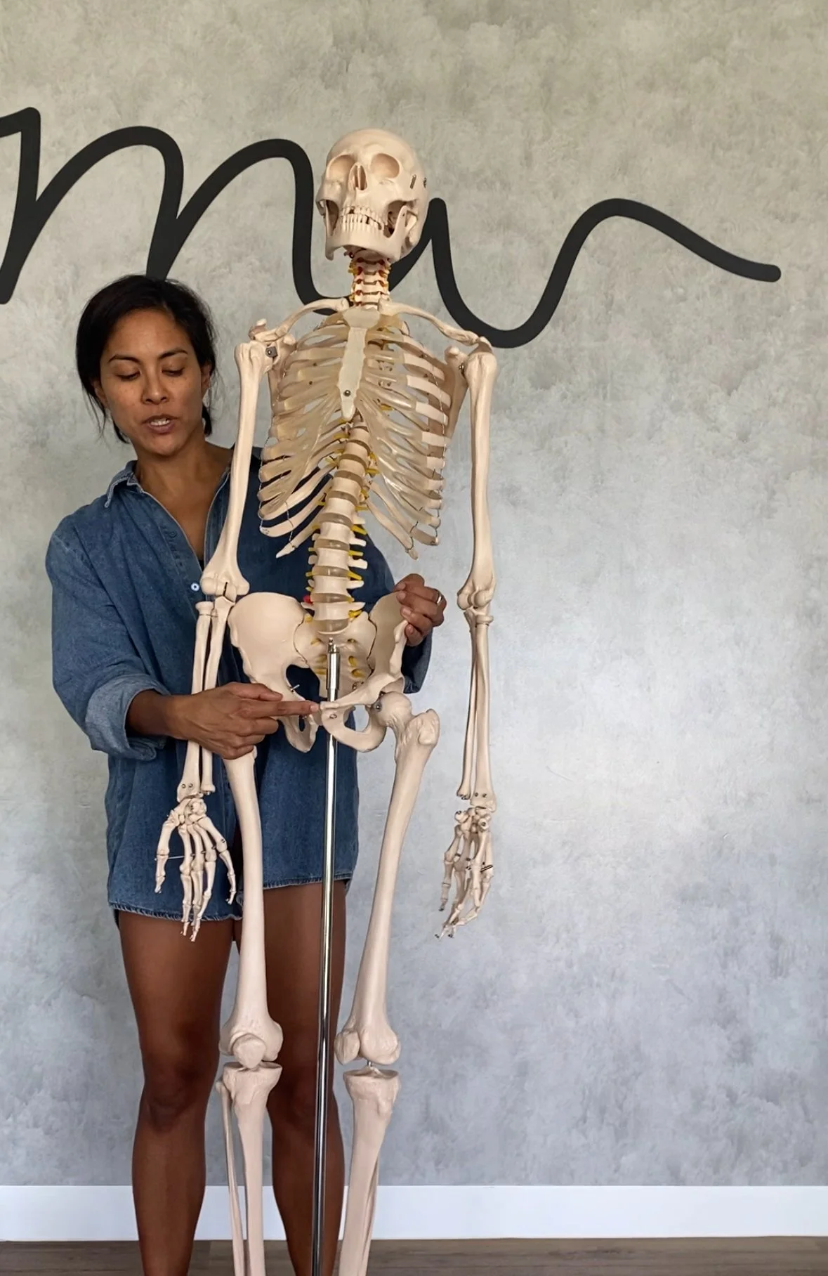 virginia skeleton.jpeg