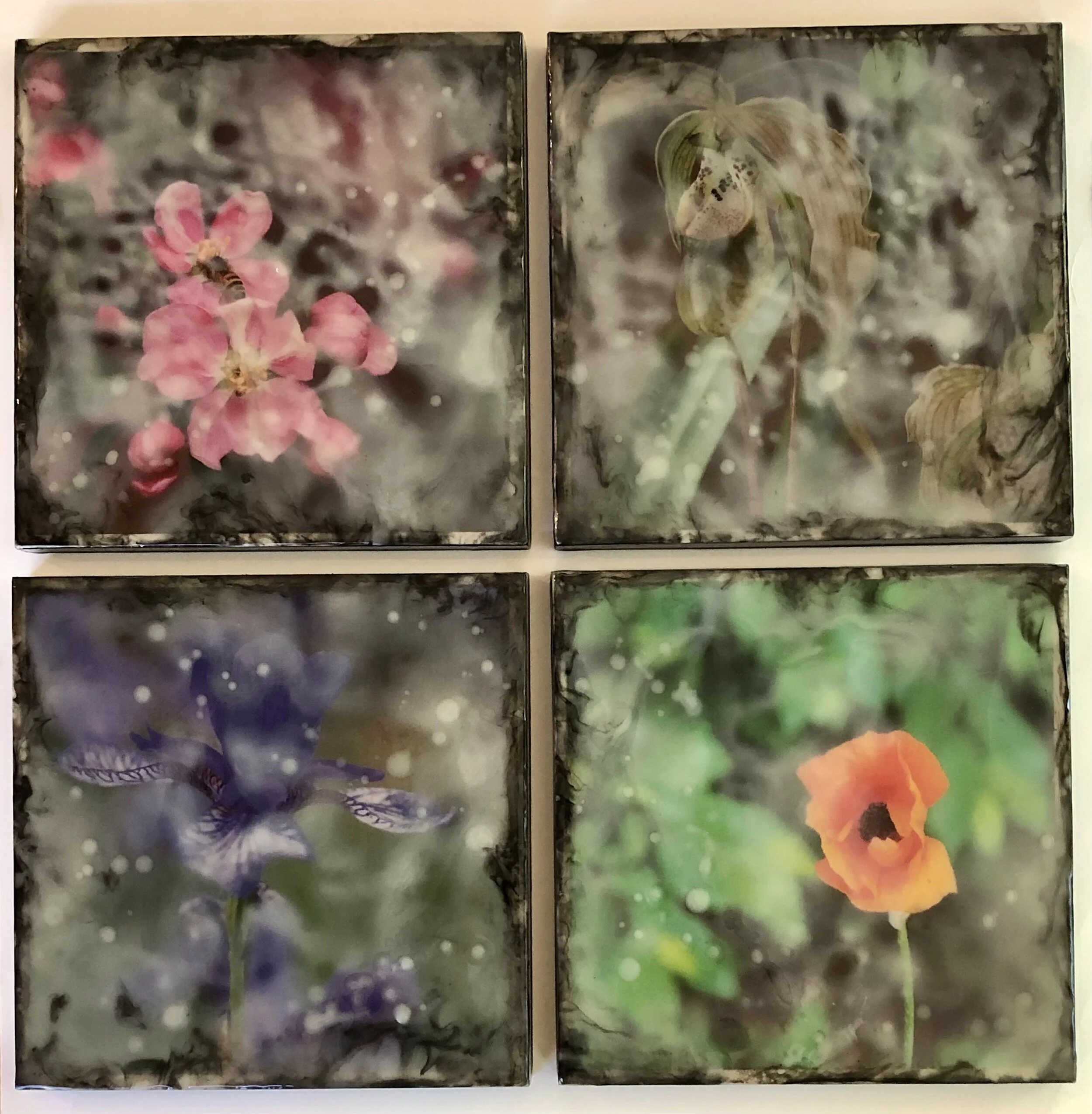 BLOOM