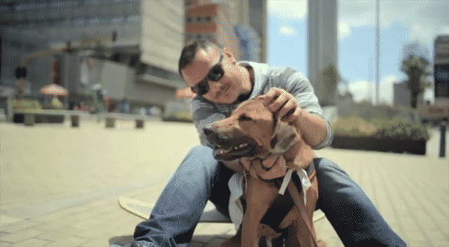 ADOPTIONS PER MINUTES-high.gif