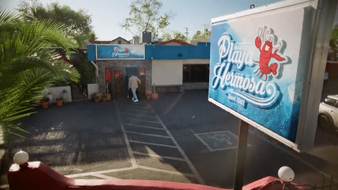 Bring In The Subs-low.gif