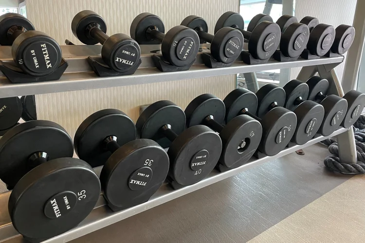 Why are Dumbbells So Expensive: Uncover the Real Reasons
