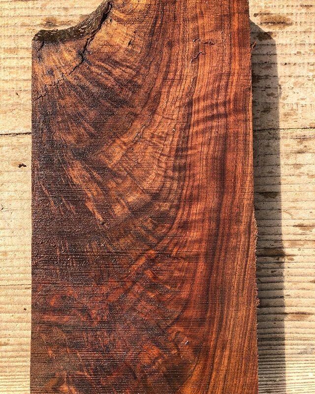 A little shot of some black walnut figured crotch to take your coronavirus blues away! .
.
.
#blackwalnut #crotchfigure #mattscrotch #walnutlumber #woodporn #woodcandy #sawmillbusiness #woodworker #woodworking #woodmizer