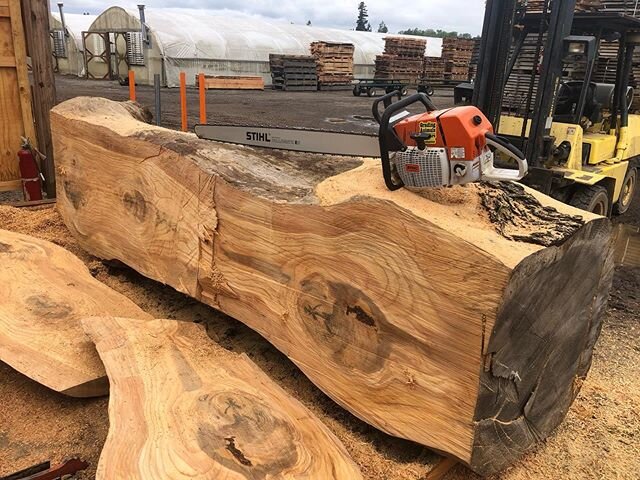 Logs to big for the Woodmizer! No problem! We just trim off the sides with our Stihl 880 with a 59&rdquo; bar. 
#urbanlumber #deodarcedar #stihl #chainsaw #stihl880 #woodmizer #sawmillbusiness