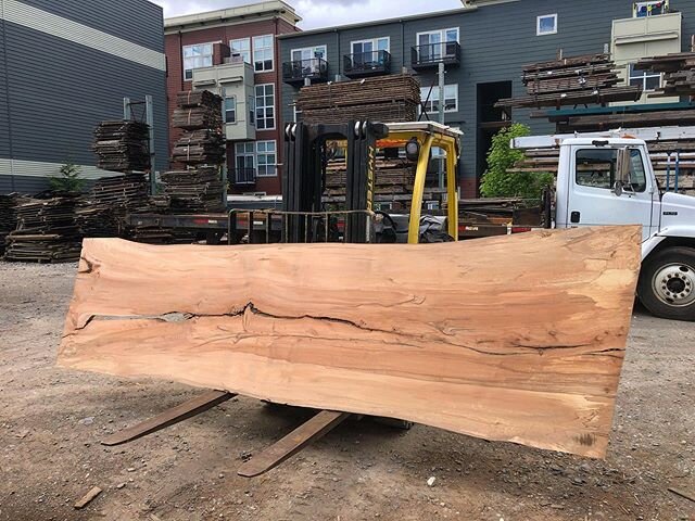 We just dropped off an amazing stack of beech slabs at @salvageworkspdx ! Come and get it! .
.
.
#urbanlumber #beech #woodslabs #salvageworkspdx #slabsforsale #woodworking #customfurniture #liveedgetables #liveedgedesk #desk #homeoffice