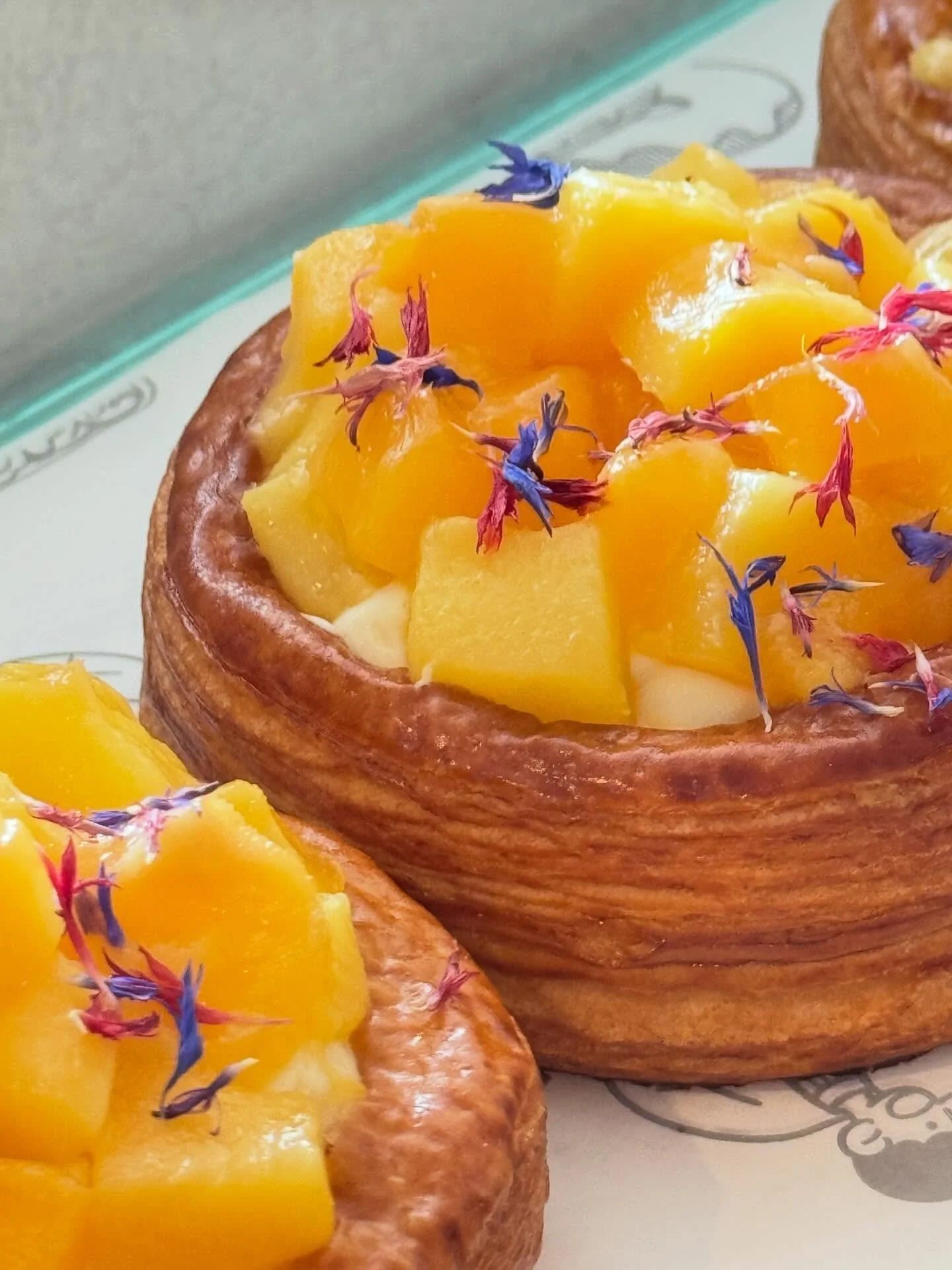 Who wants a summer bite😋
#camberwell #camberwellbakery #camberwelllife #melbournefoodie #melbournebakery