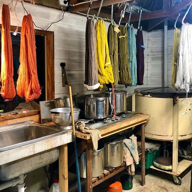 I shall be hanging out in the dye studio @tarndie this week. Creating more lovely naturally dyed colours on polwarth wool. There is a small intro to natural dyeing class being held this Friday. If you&rsquo;d like to join in the fun, just send me a m