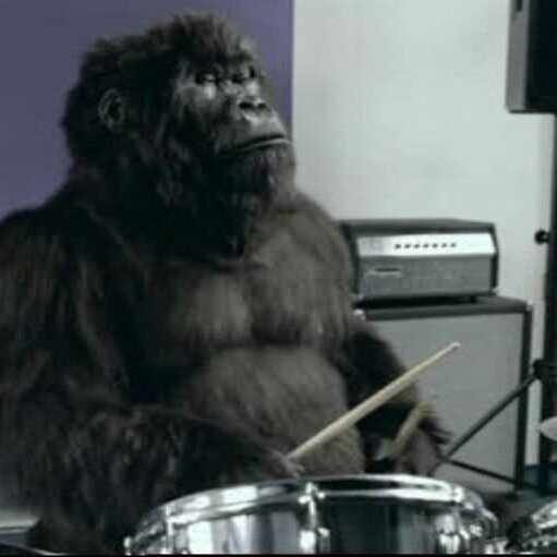 Gorilla_drums.jpg