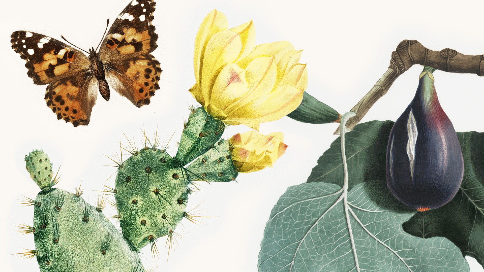 The Nature Lab Circle_FB Cover.jpg