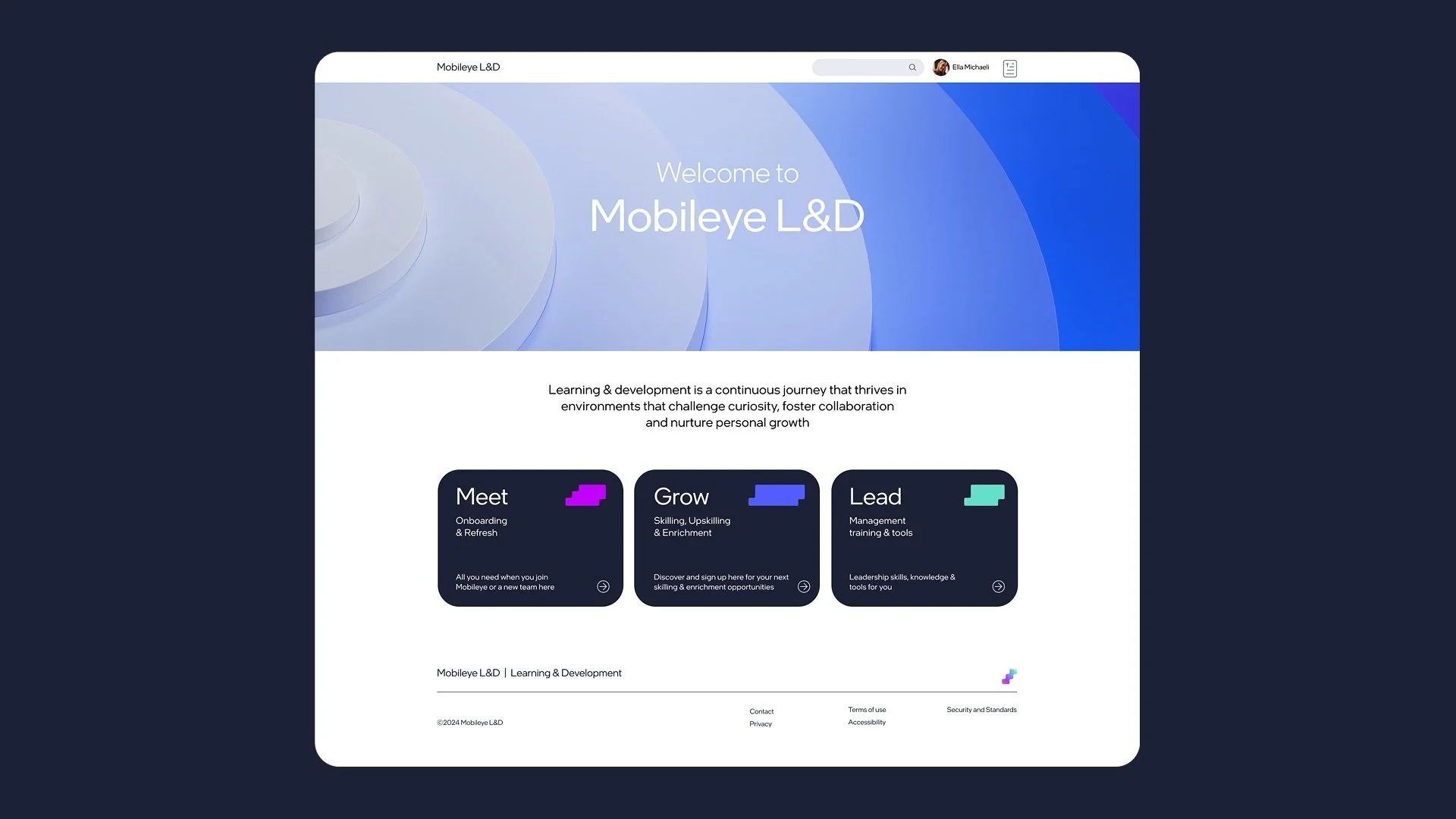 Mobileye L&D_10.jpg