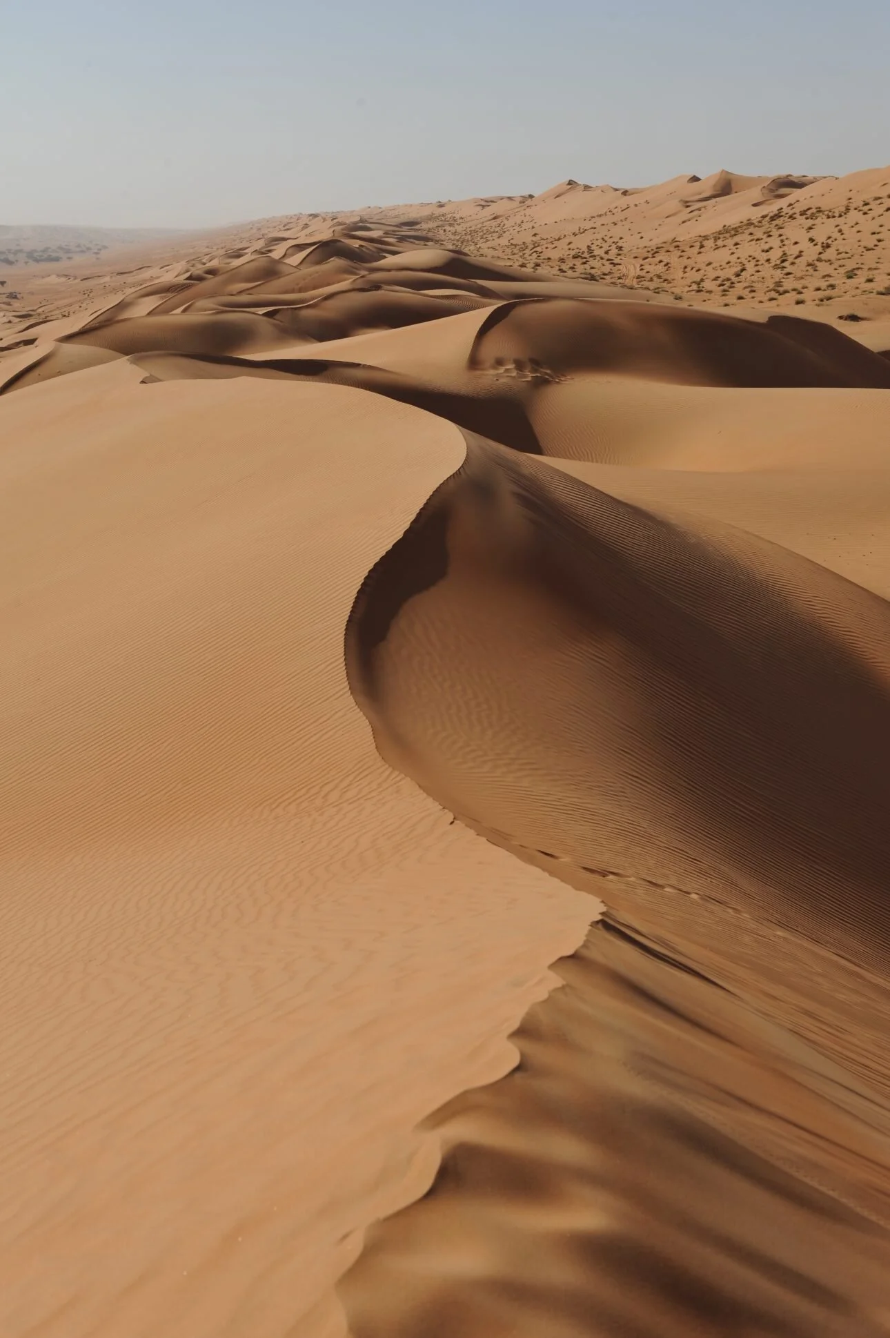 Maaike van den Bemt Fotografie