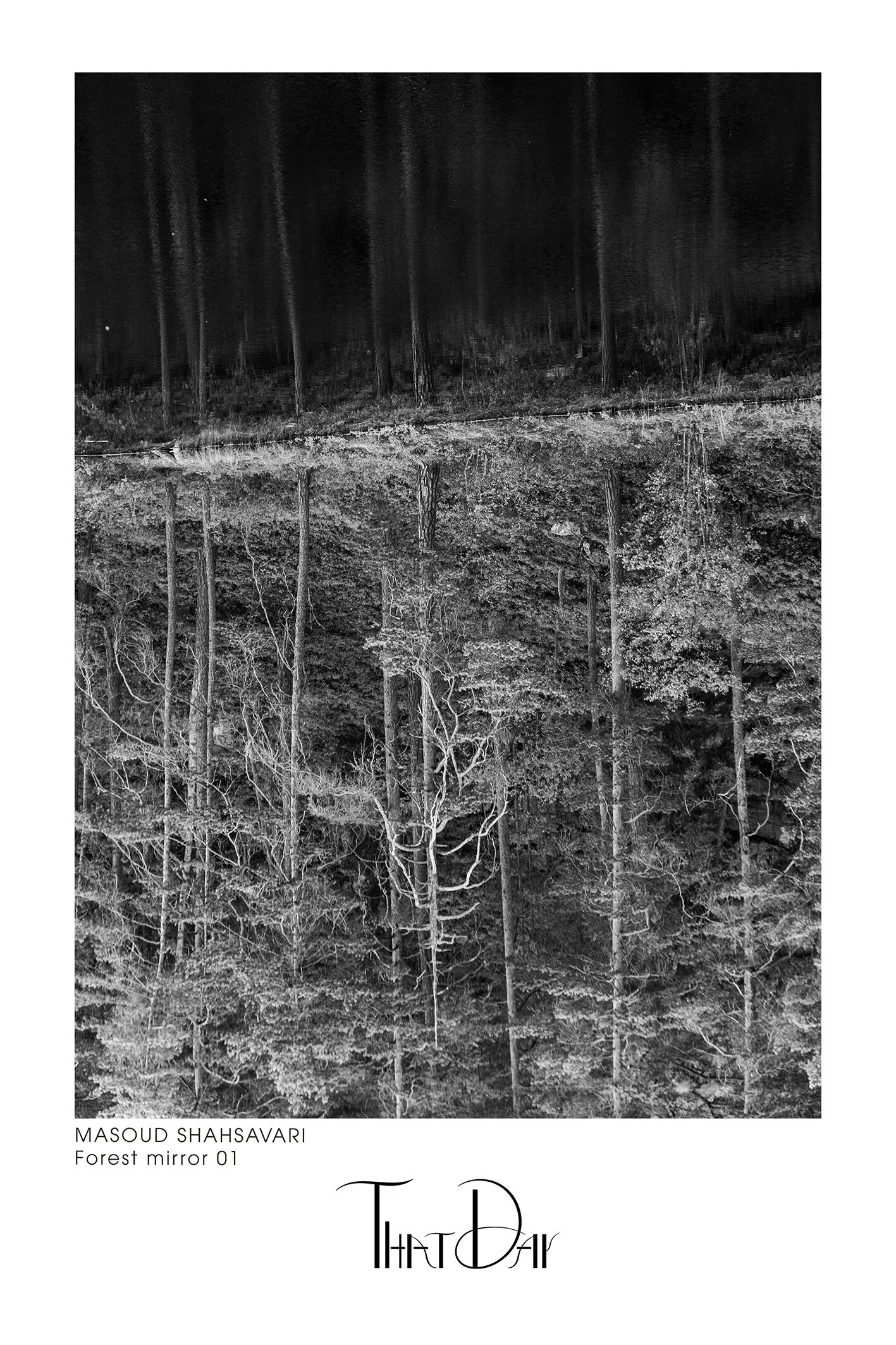 Forest mirror 01 .jpeg