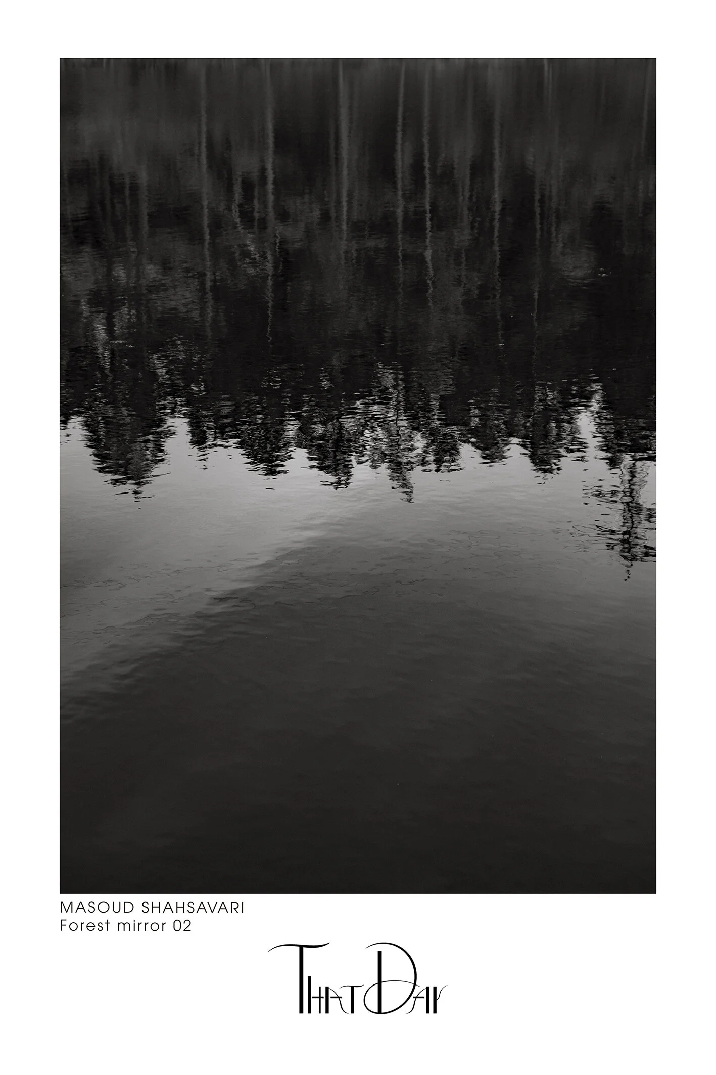 Forest mirror 02.jpeg