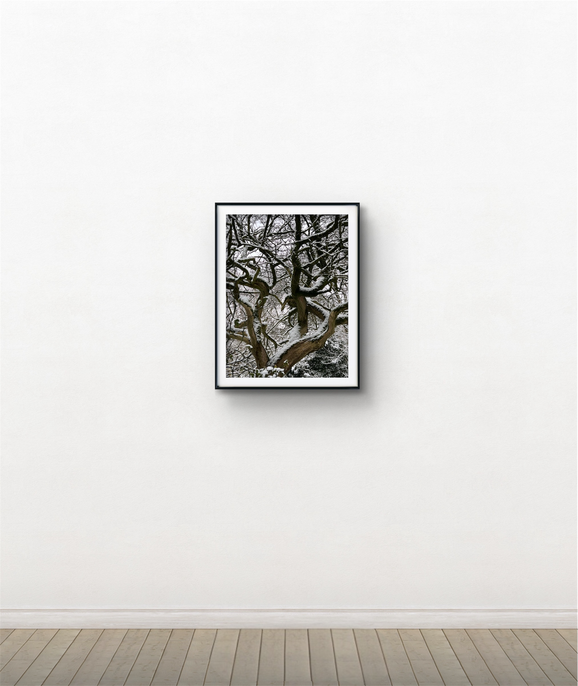 Photoroom_20260216_150912.PNG (Copy)