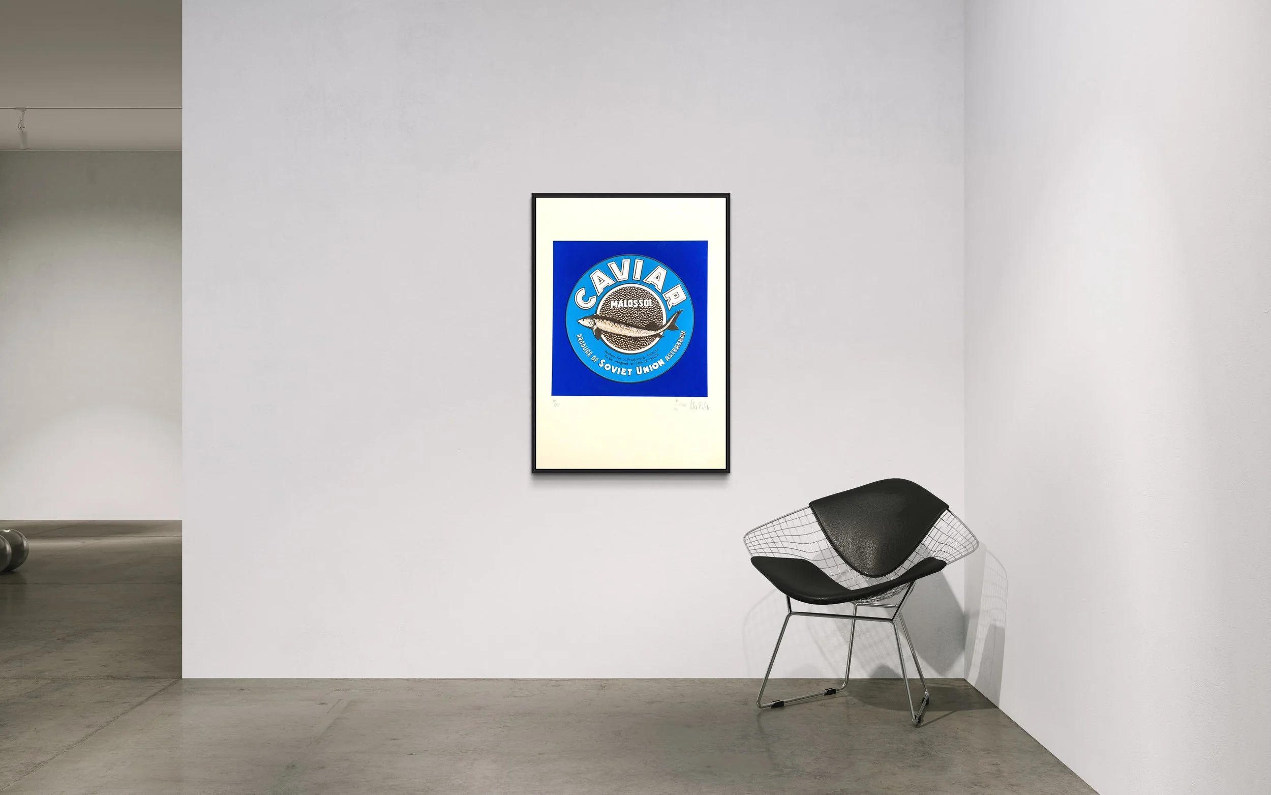 Medium size 70 x 50 cm ▪️JUST CAVIAR | Cornflower Blue/Silver