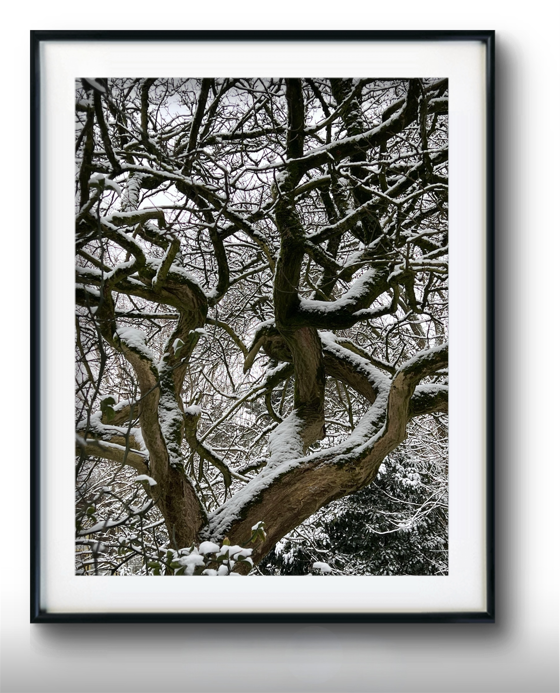 Photoroom_20260216_152827.PNG (Copy)